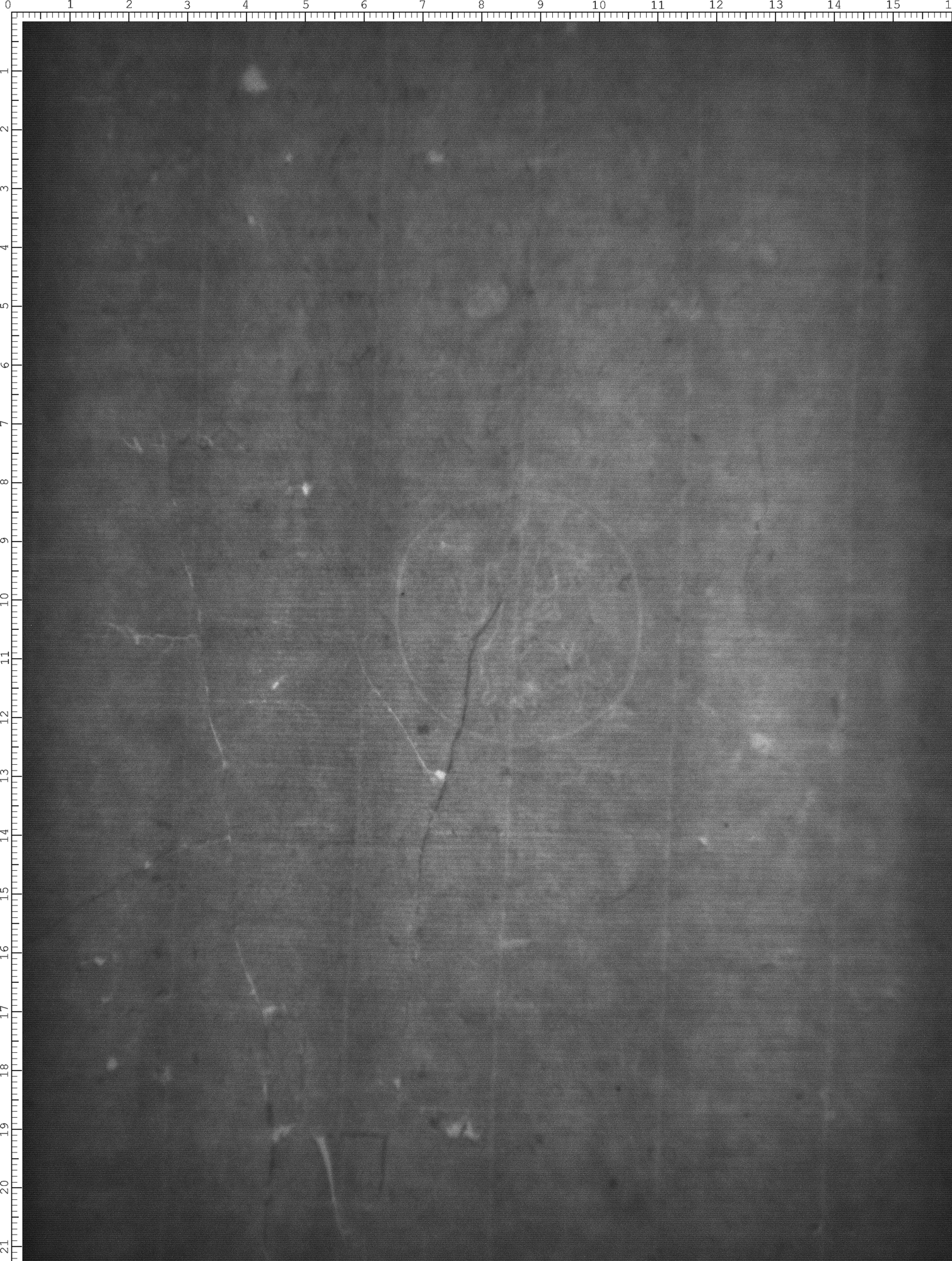 Watermark