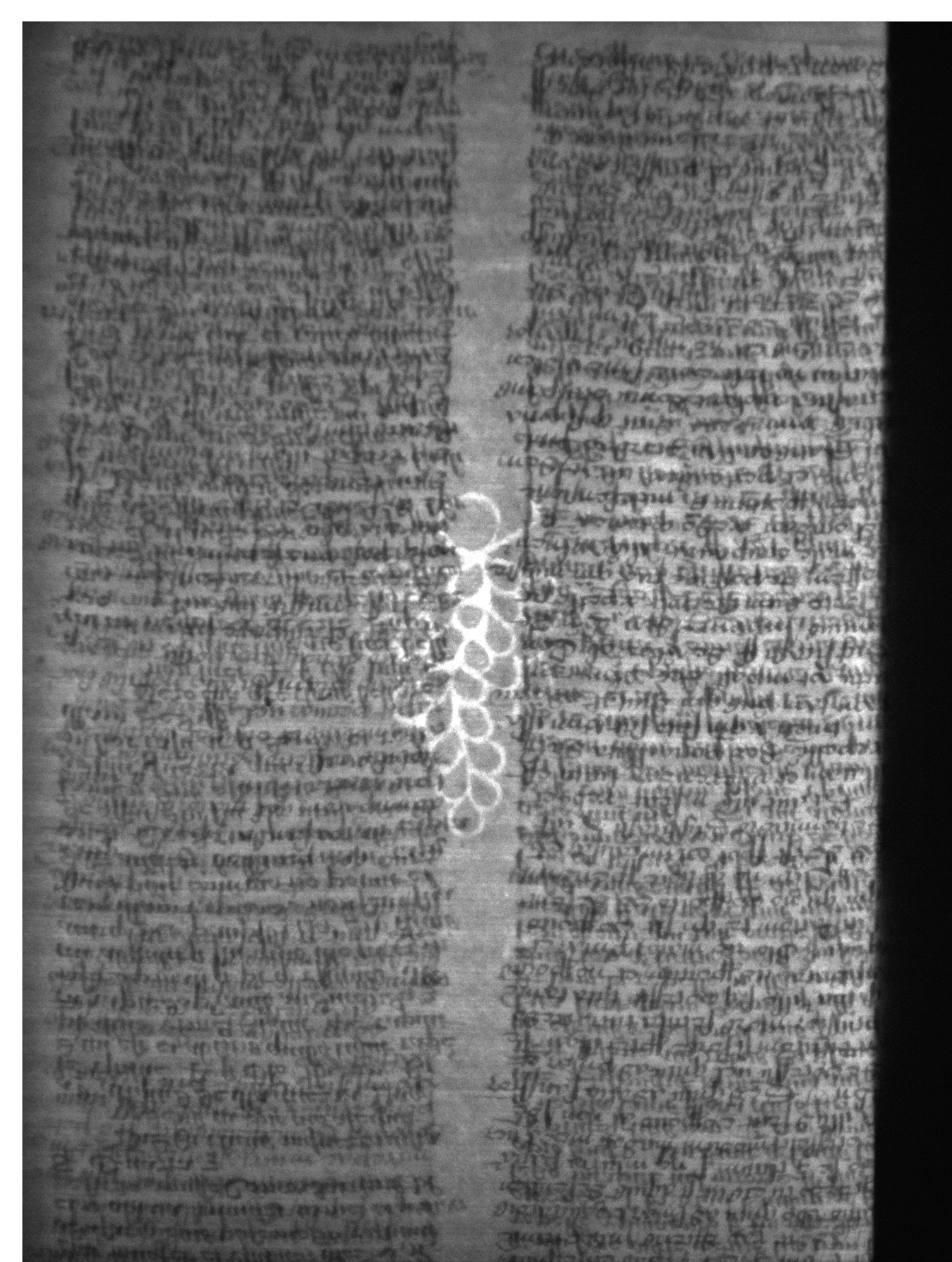 Watermark