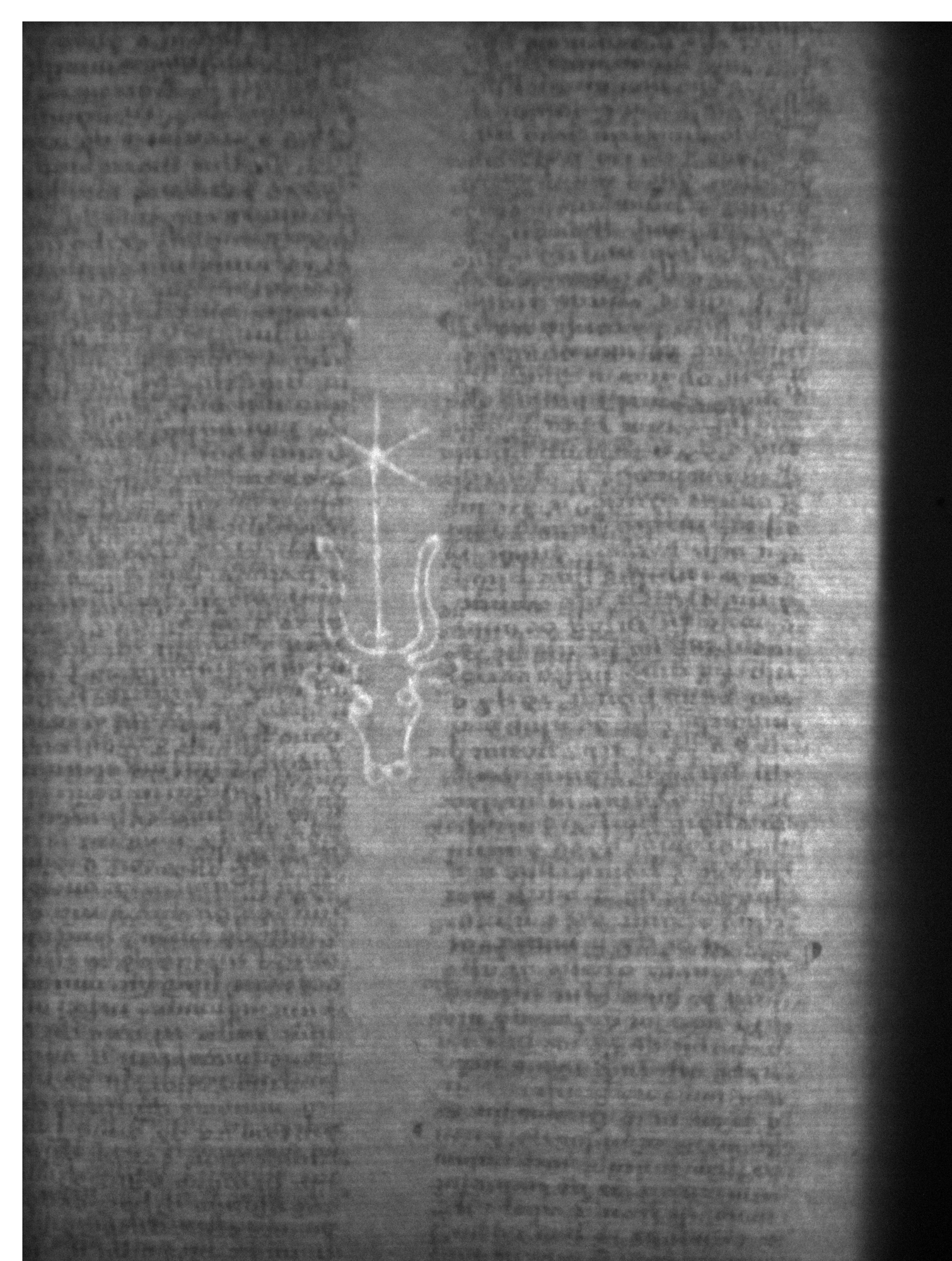 Watermark