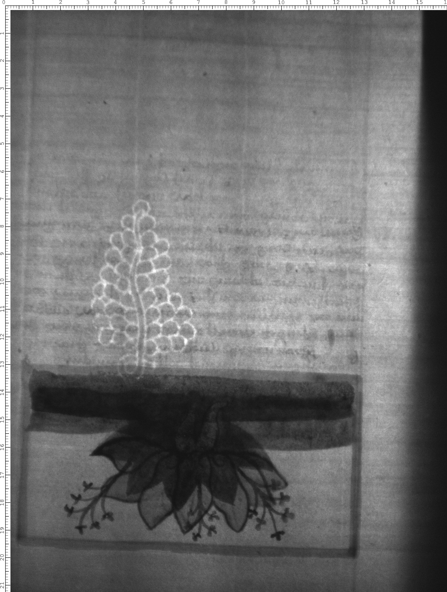 Watermark