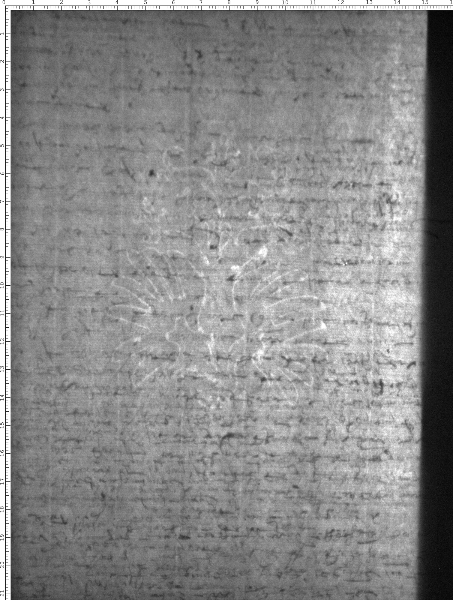 Watermark