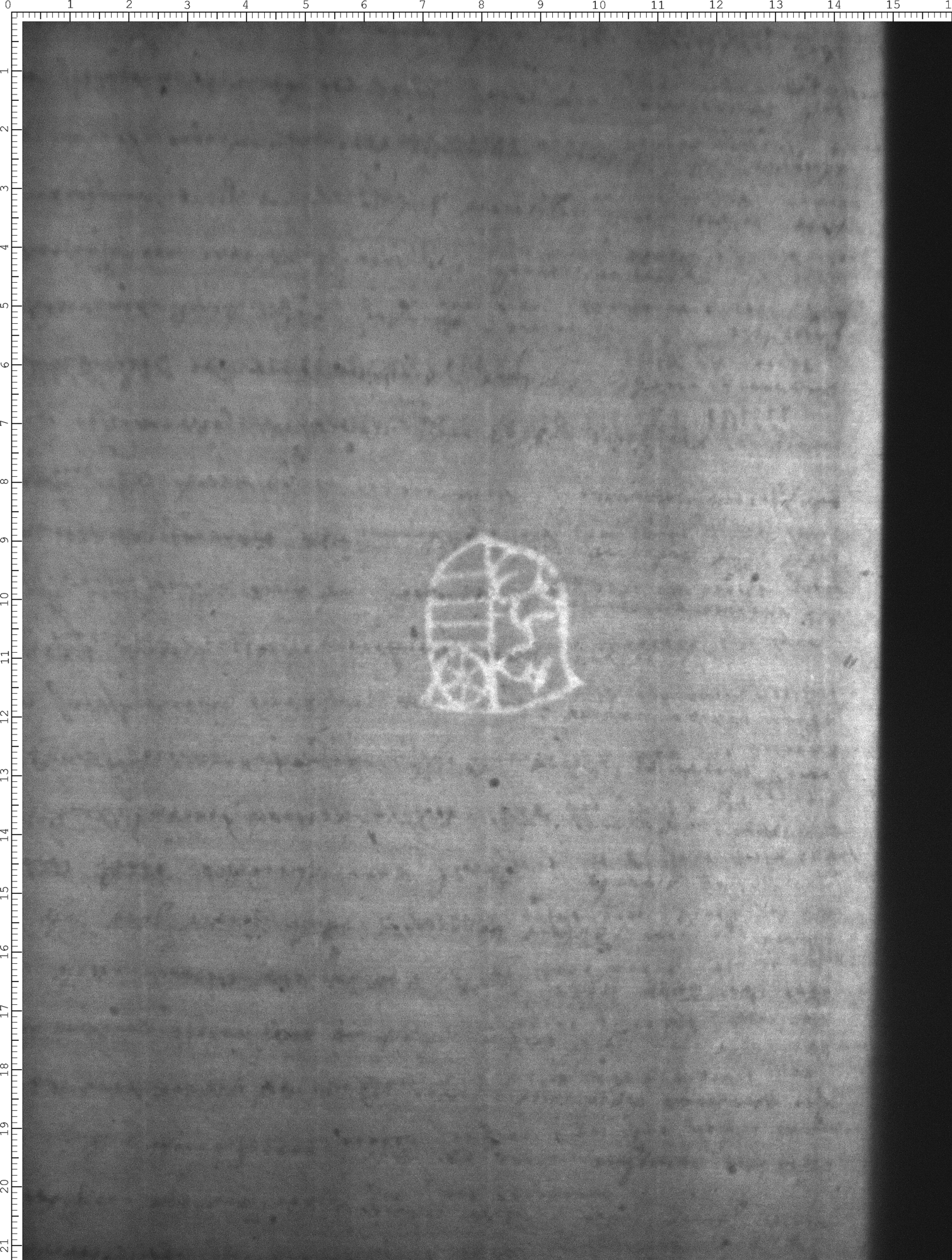 Watermark