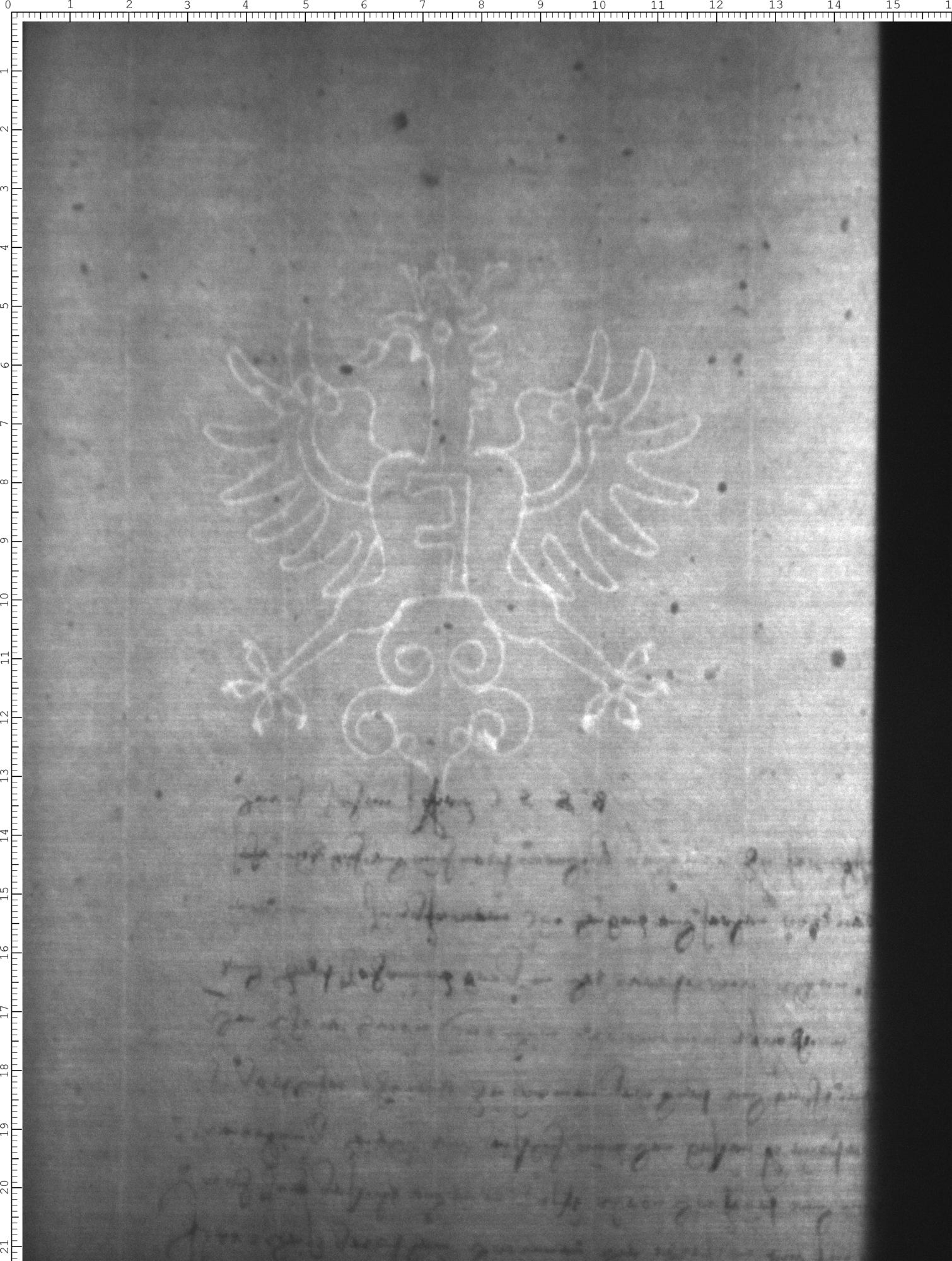 Watermark