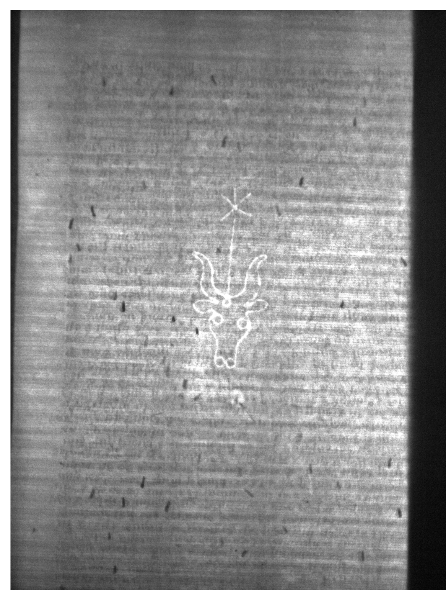 Watermark