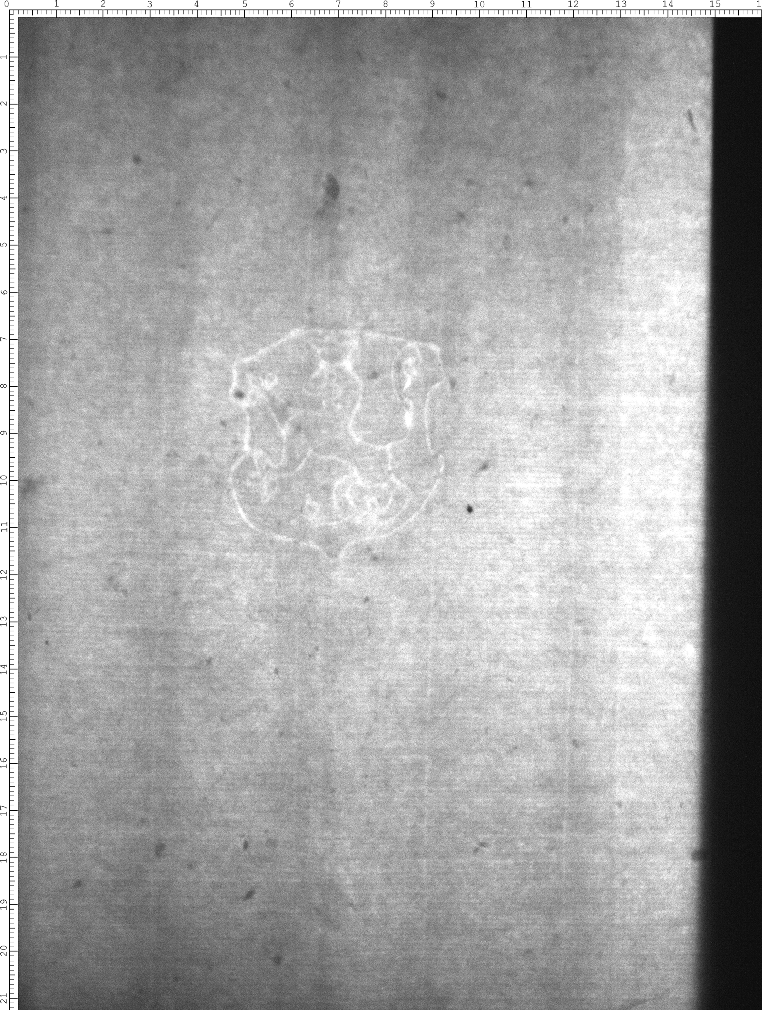 Watermark