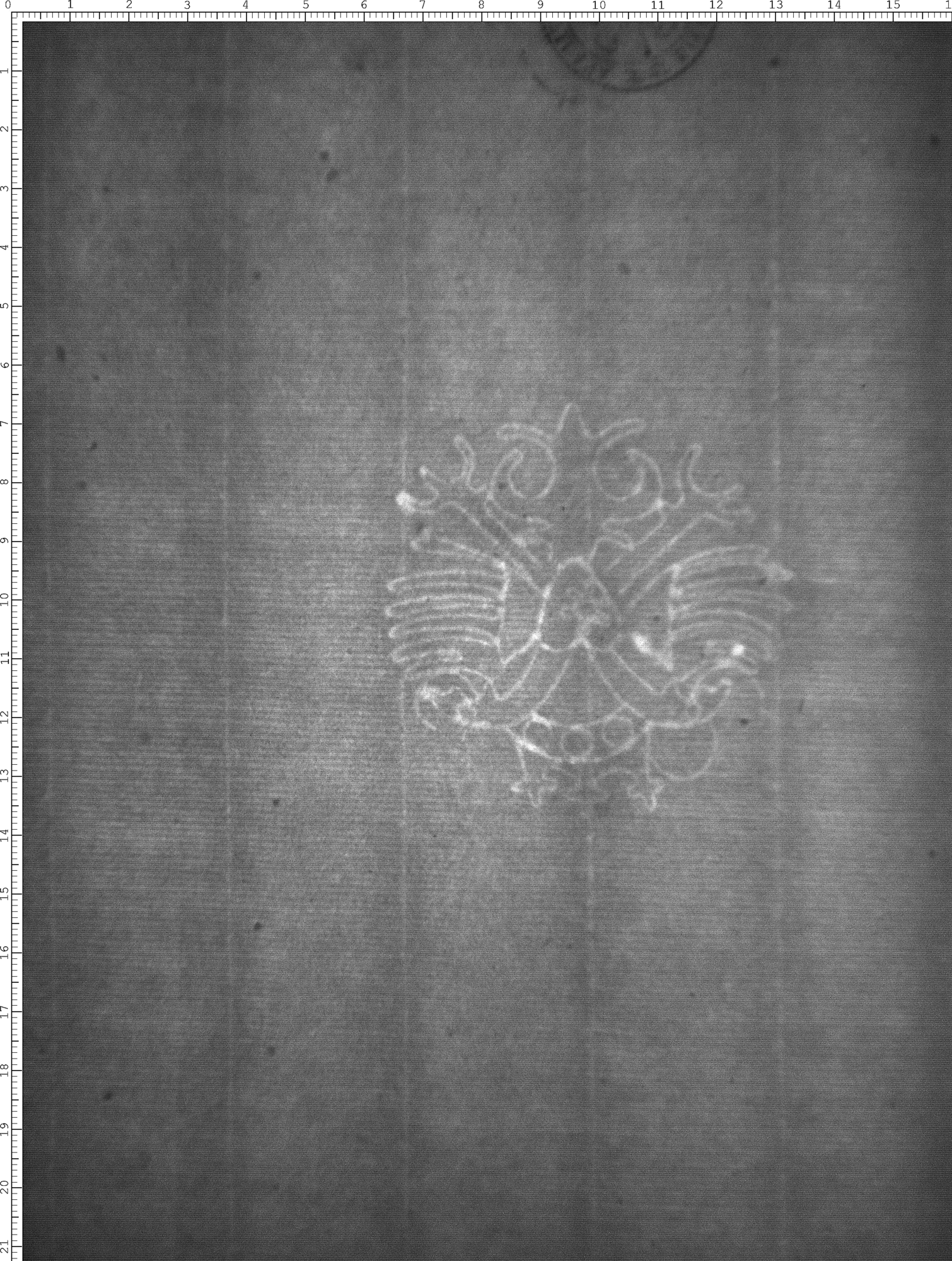Watermark