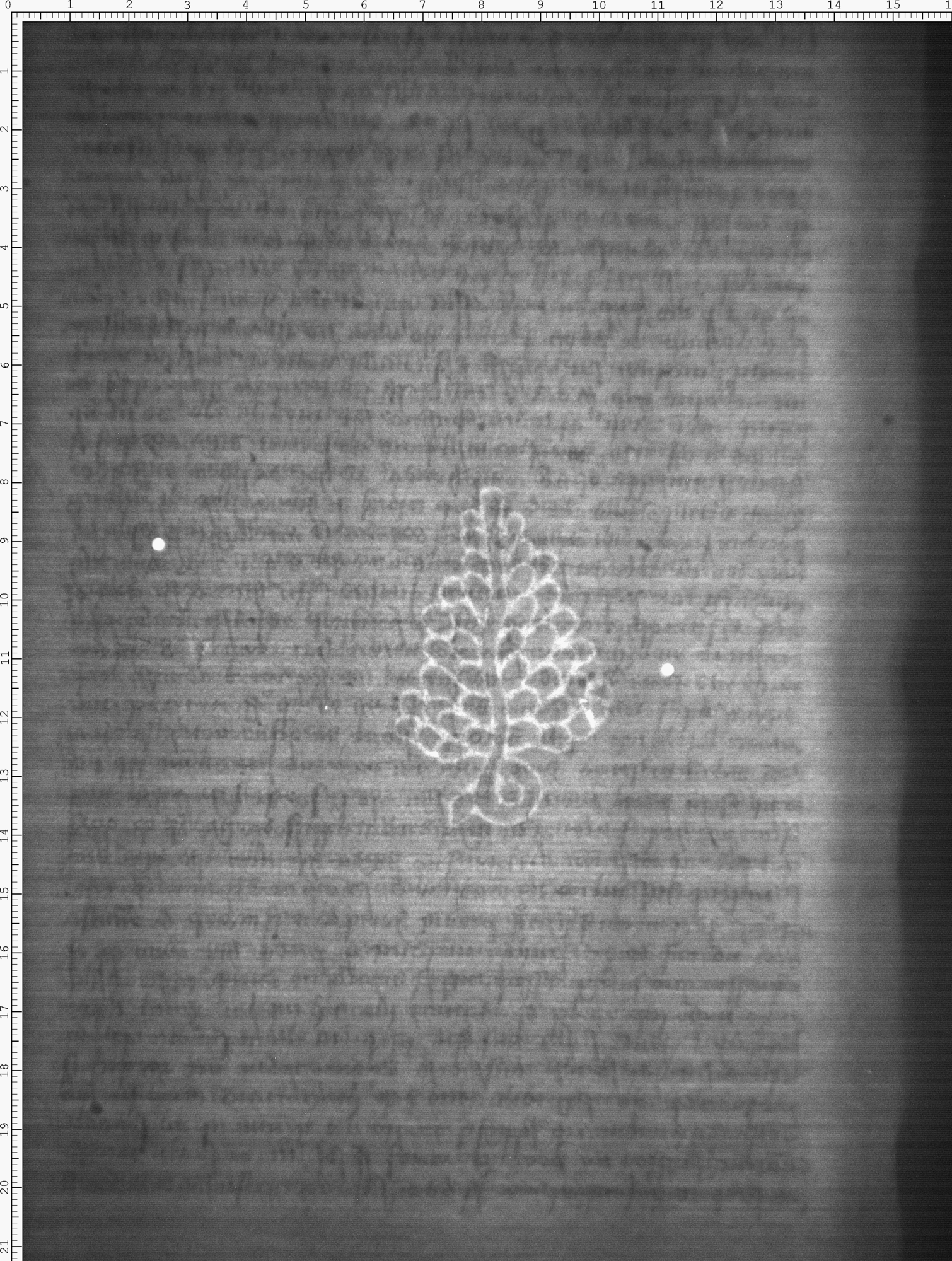 Watermark