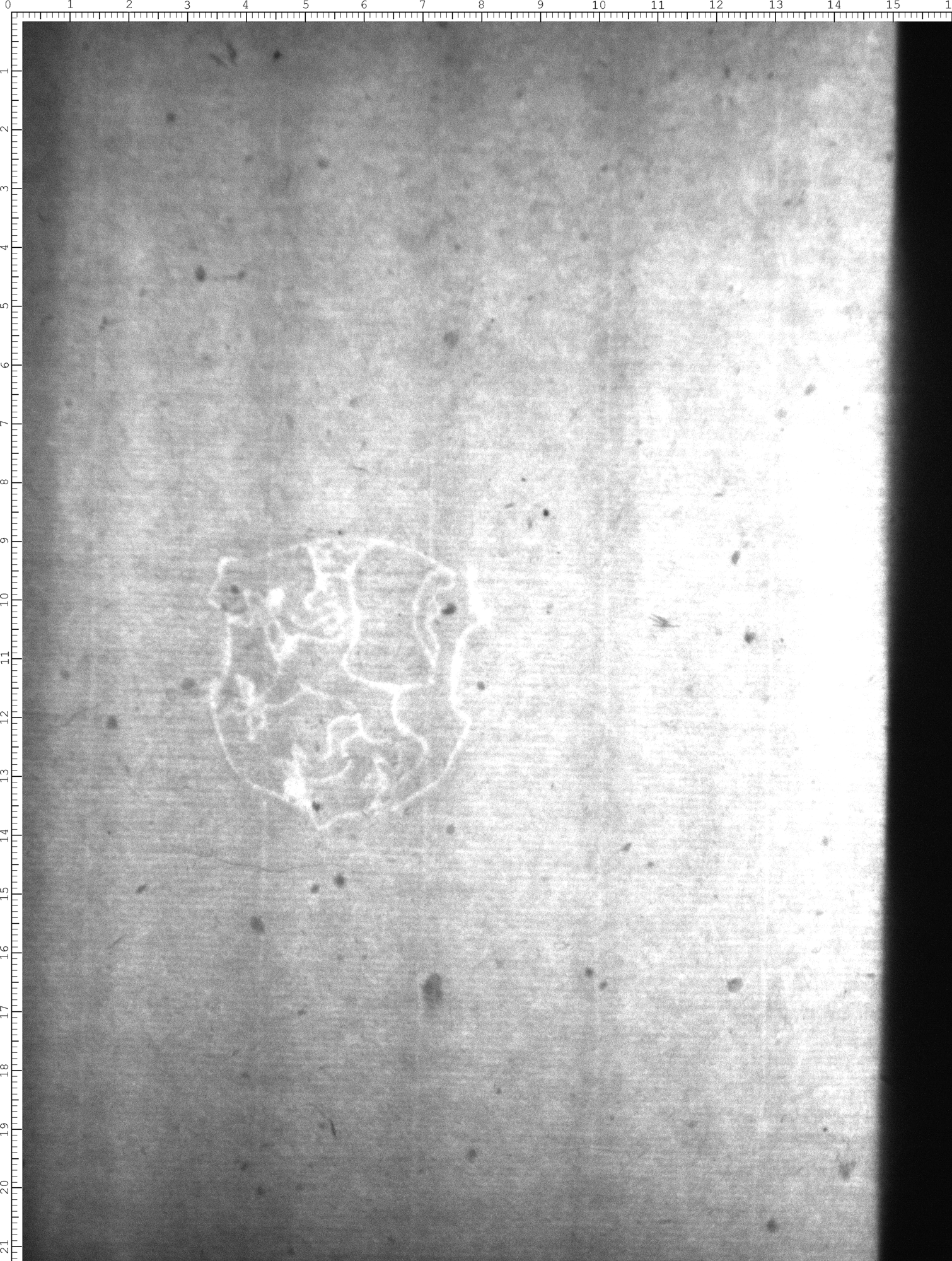 Watermark