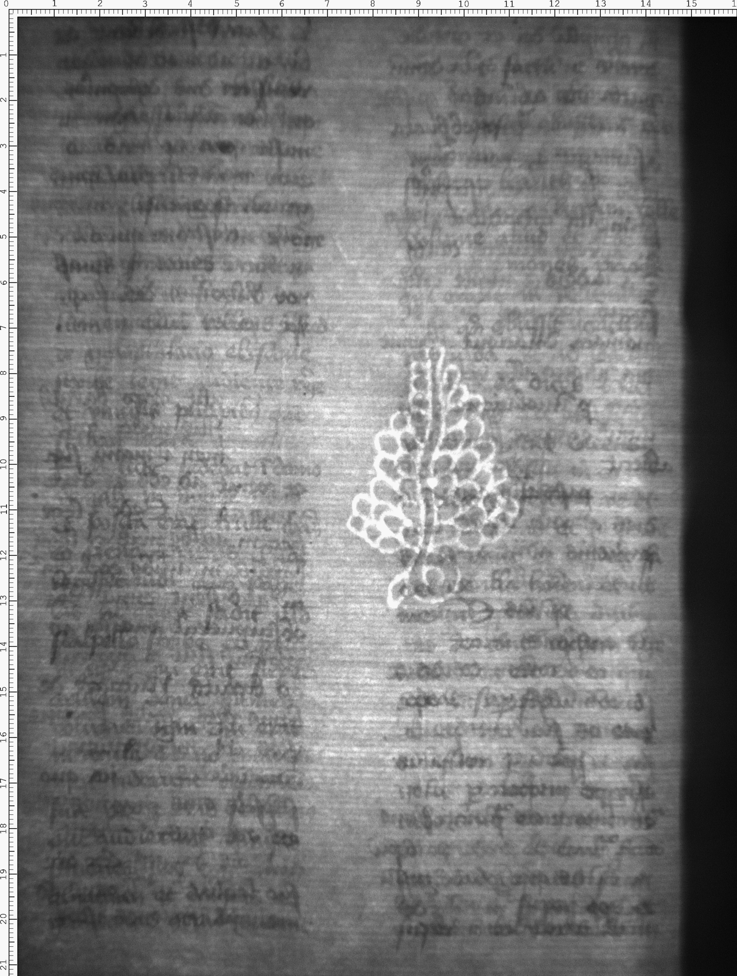 Watermark