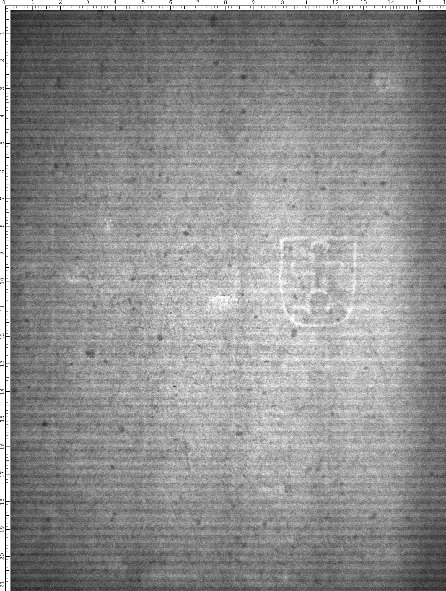 Watermark