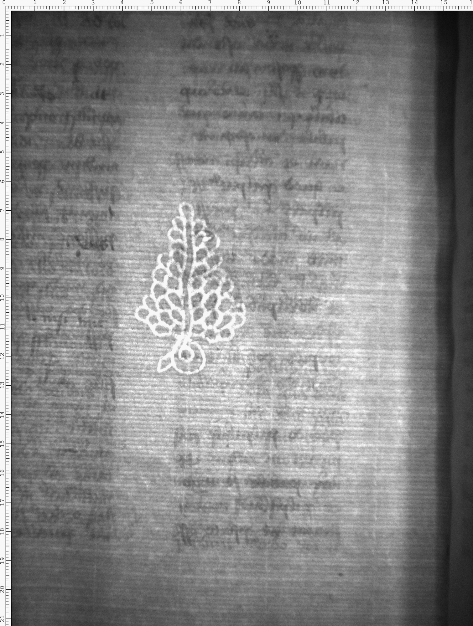 Watermark