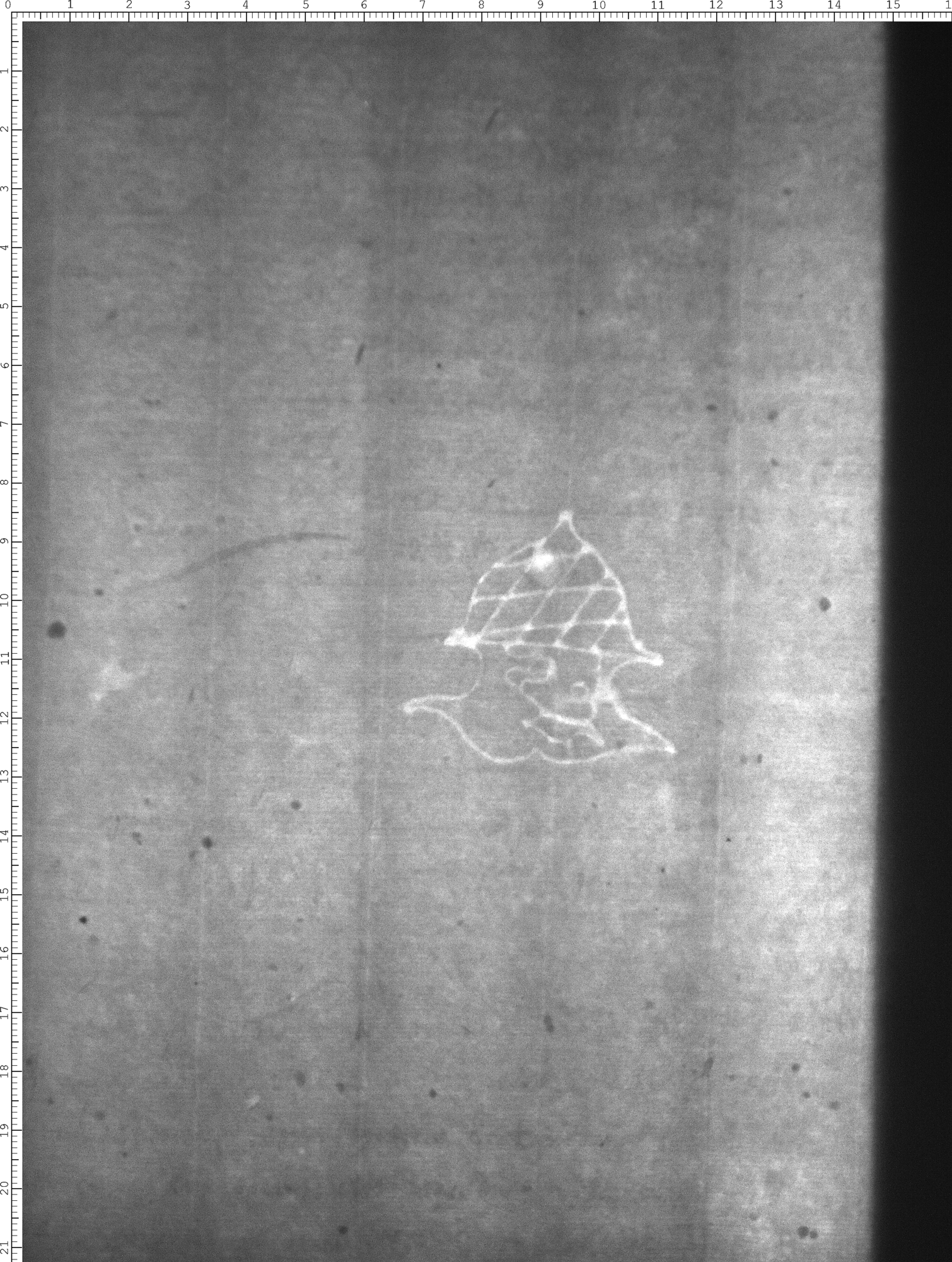Watermark