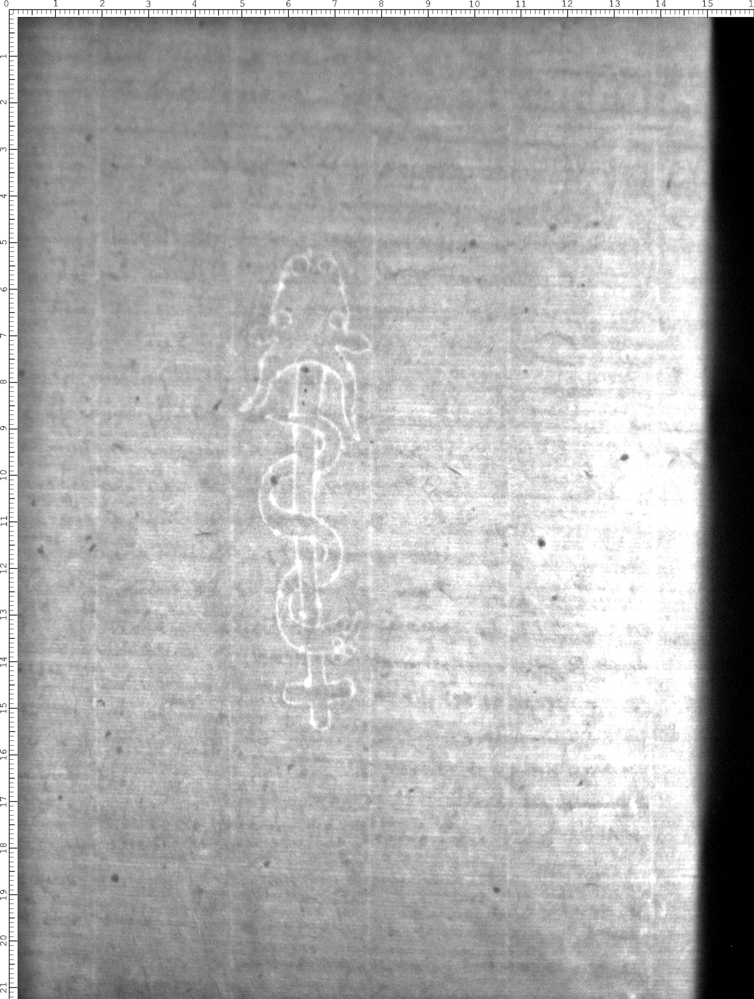 Watermark