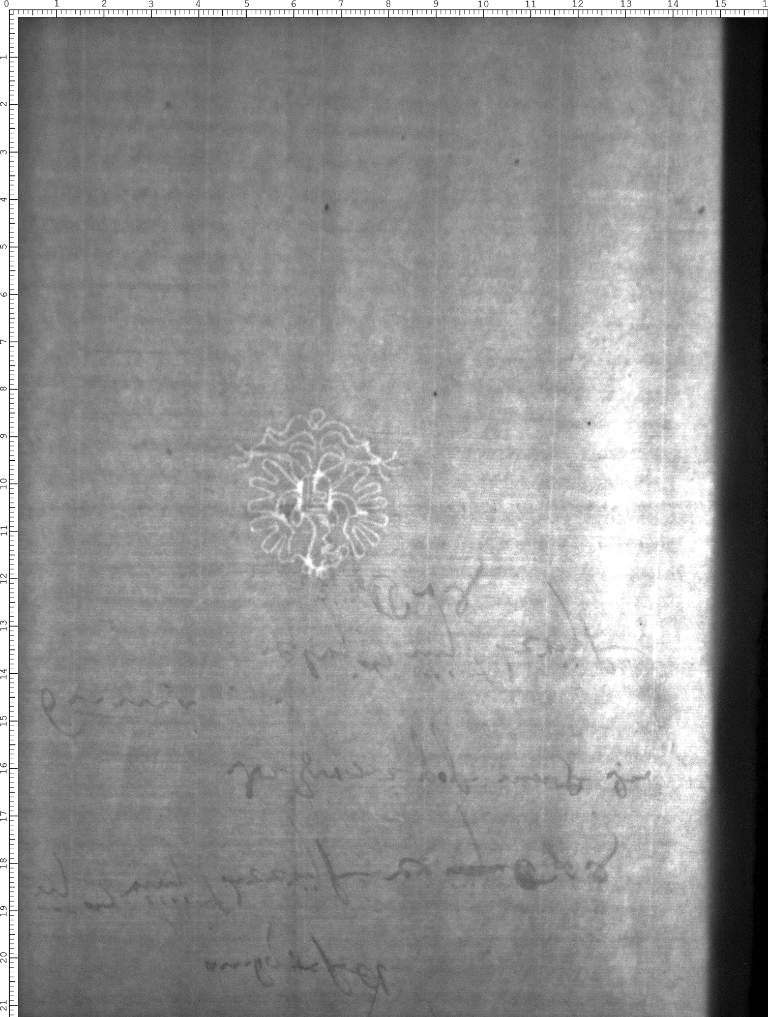 Watermark