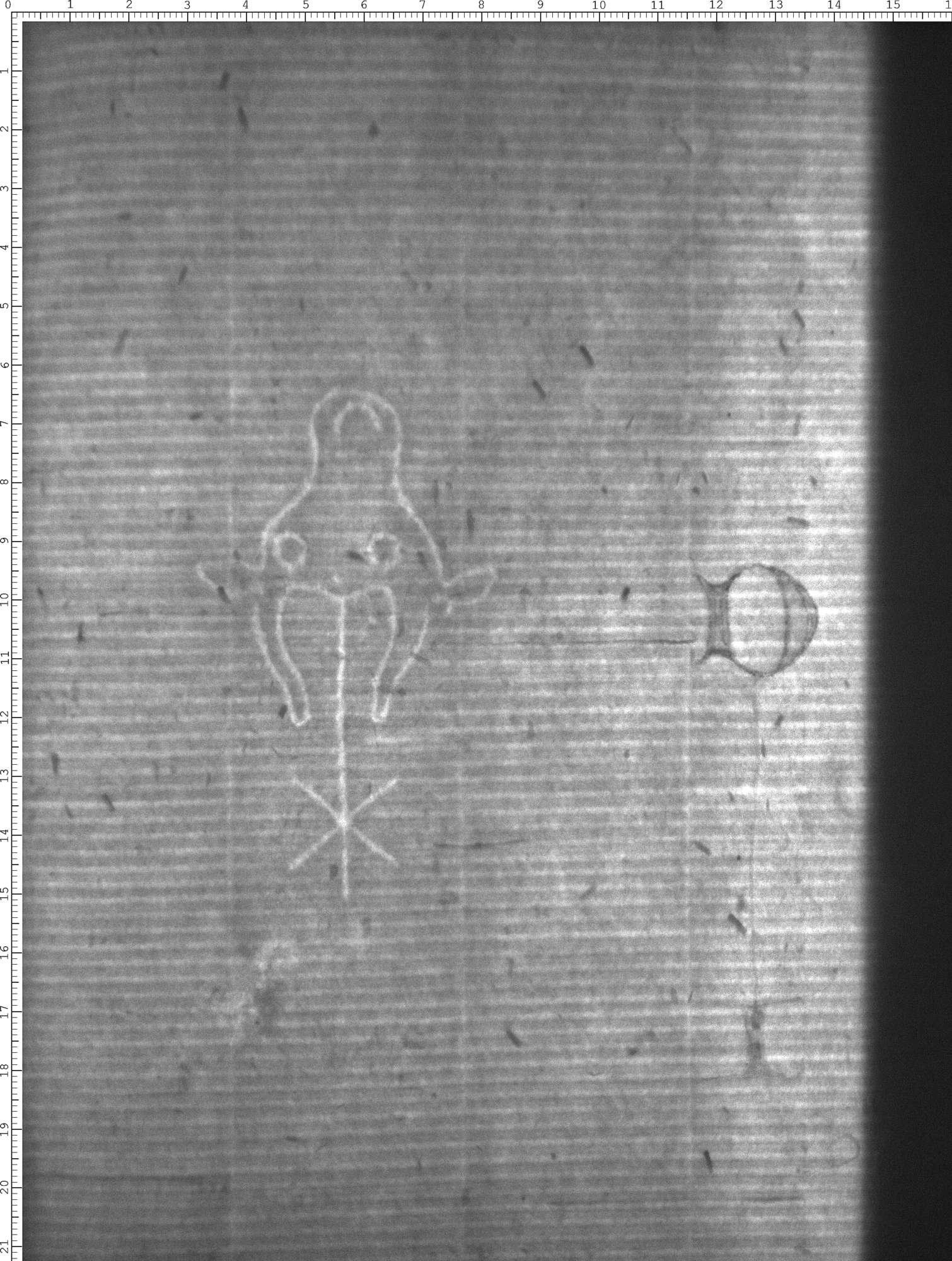Watermark