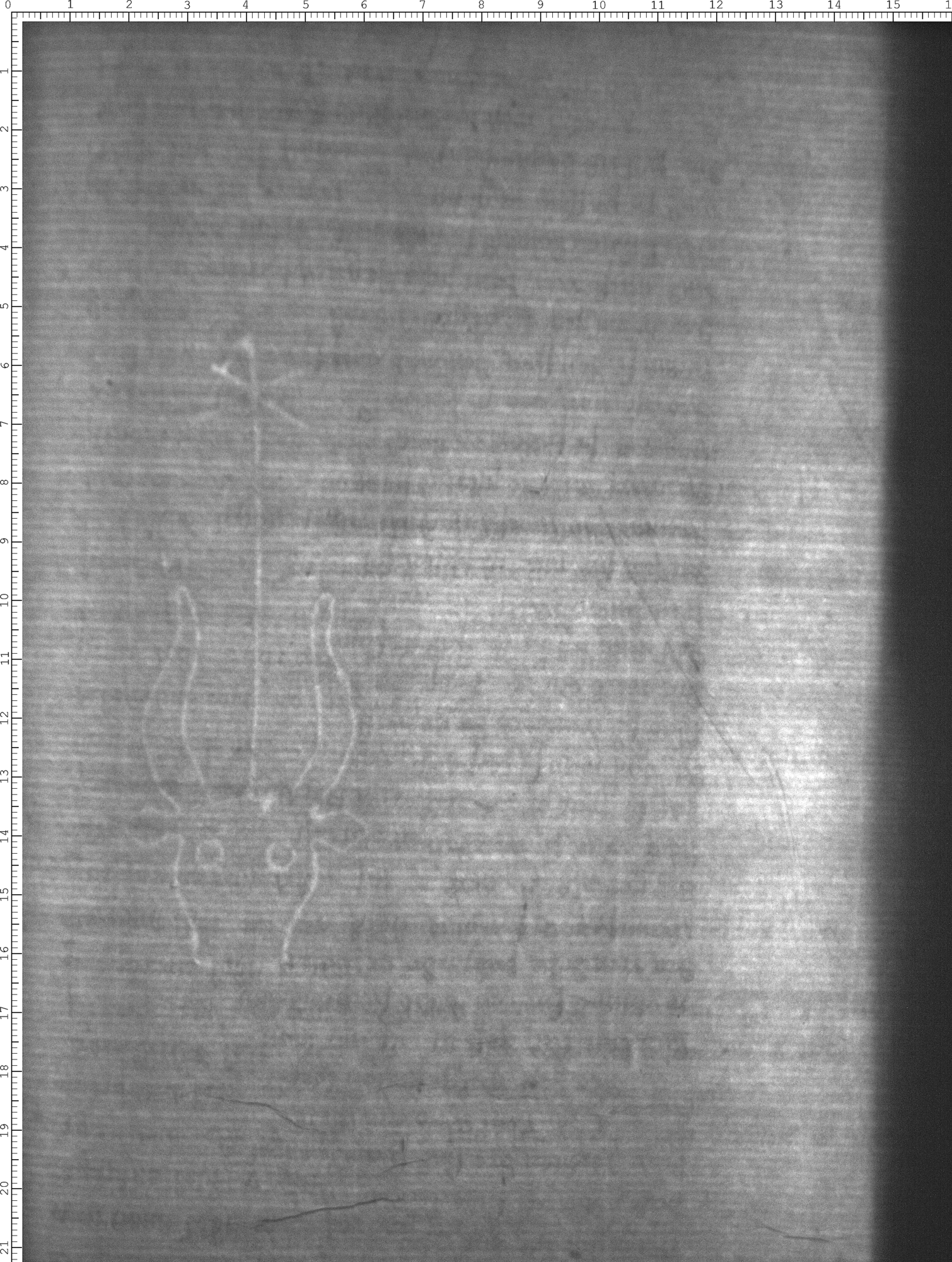 Watermark