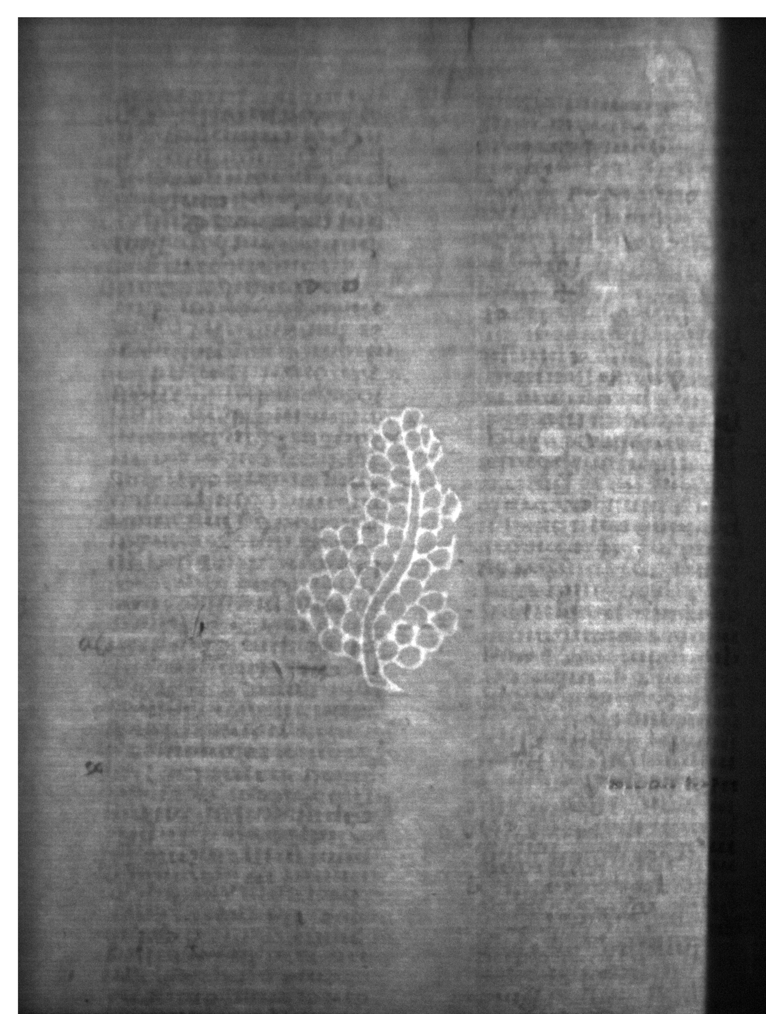 Watermark