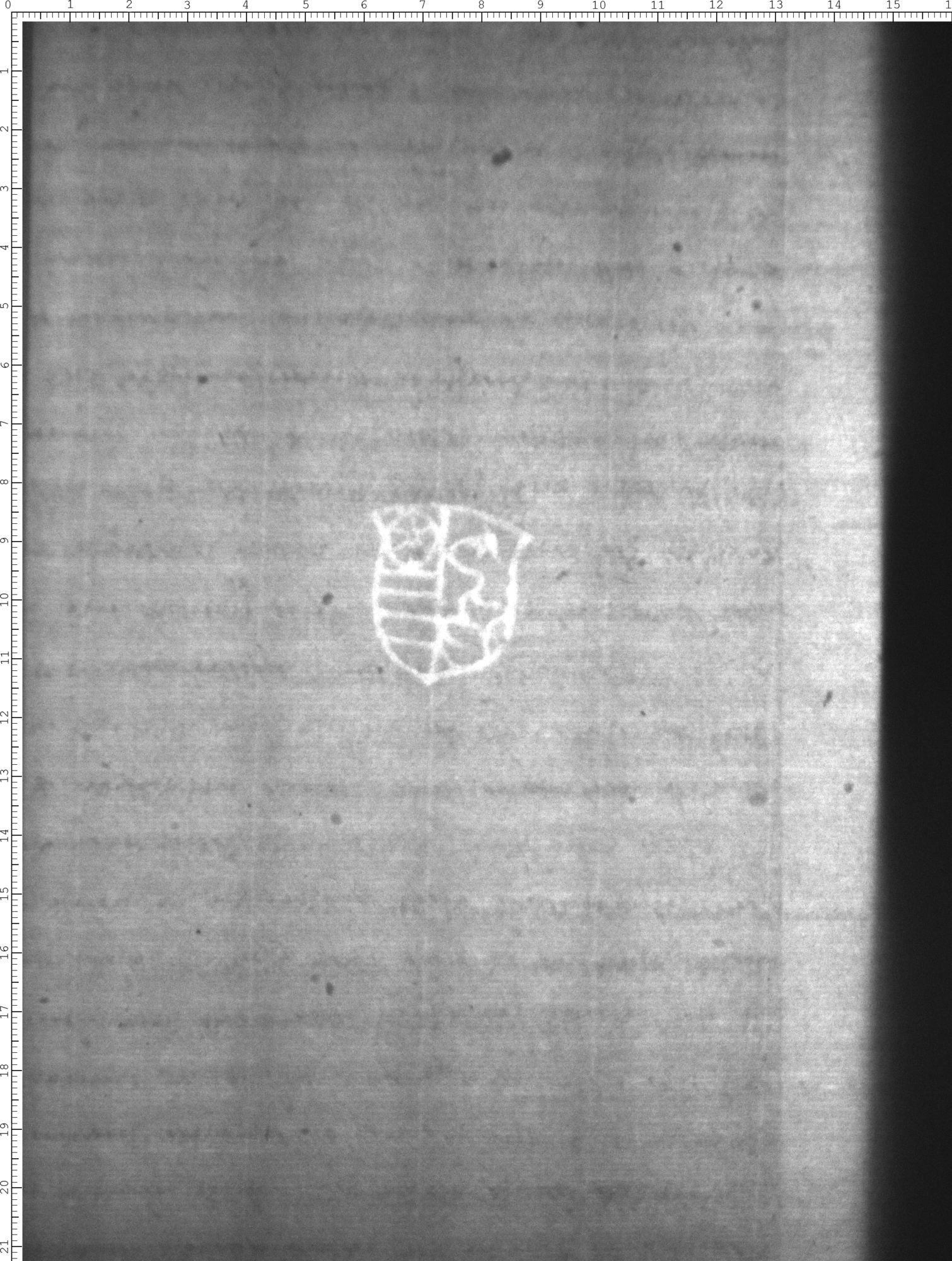 Watermark