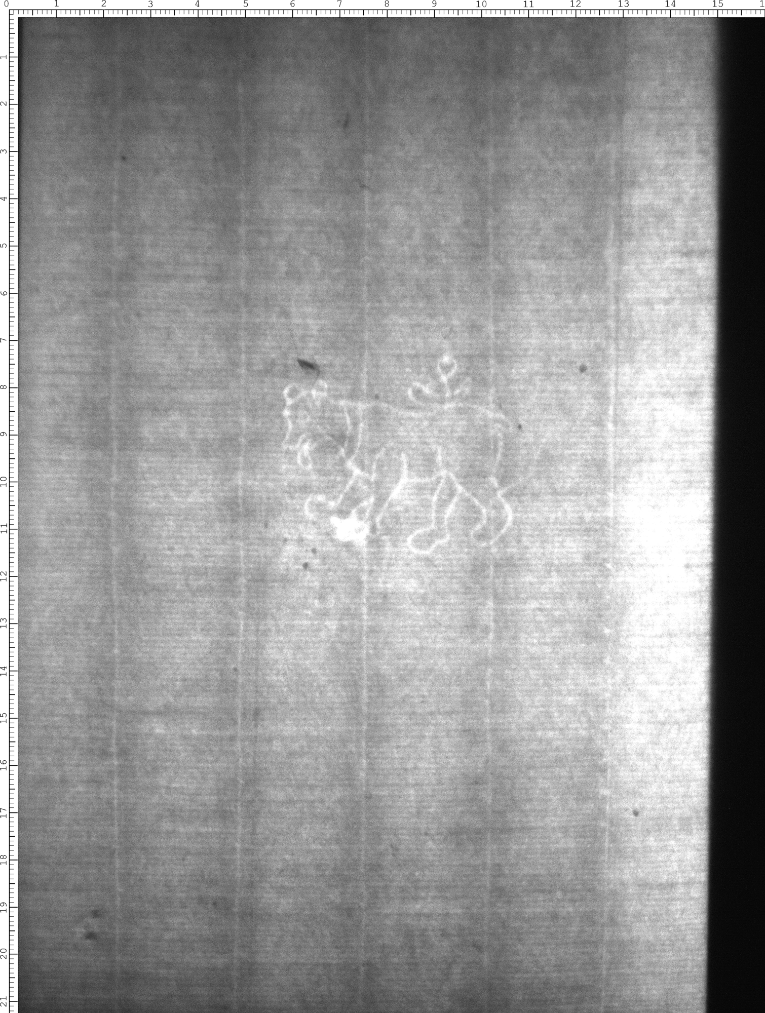 Watermark