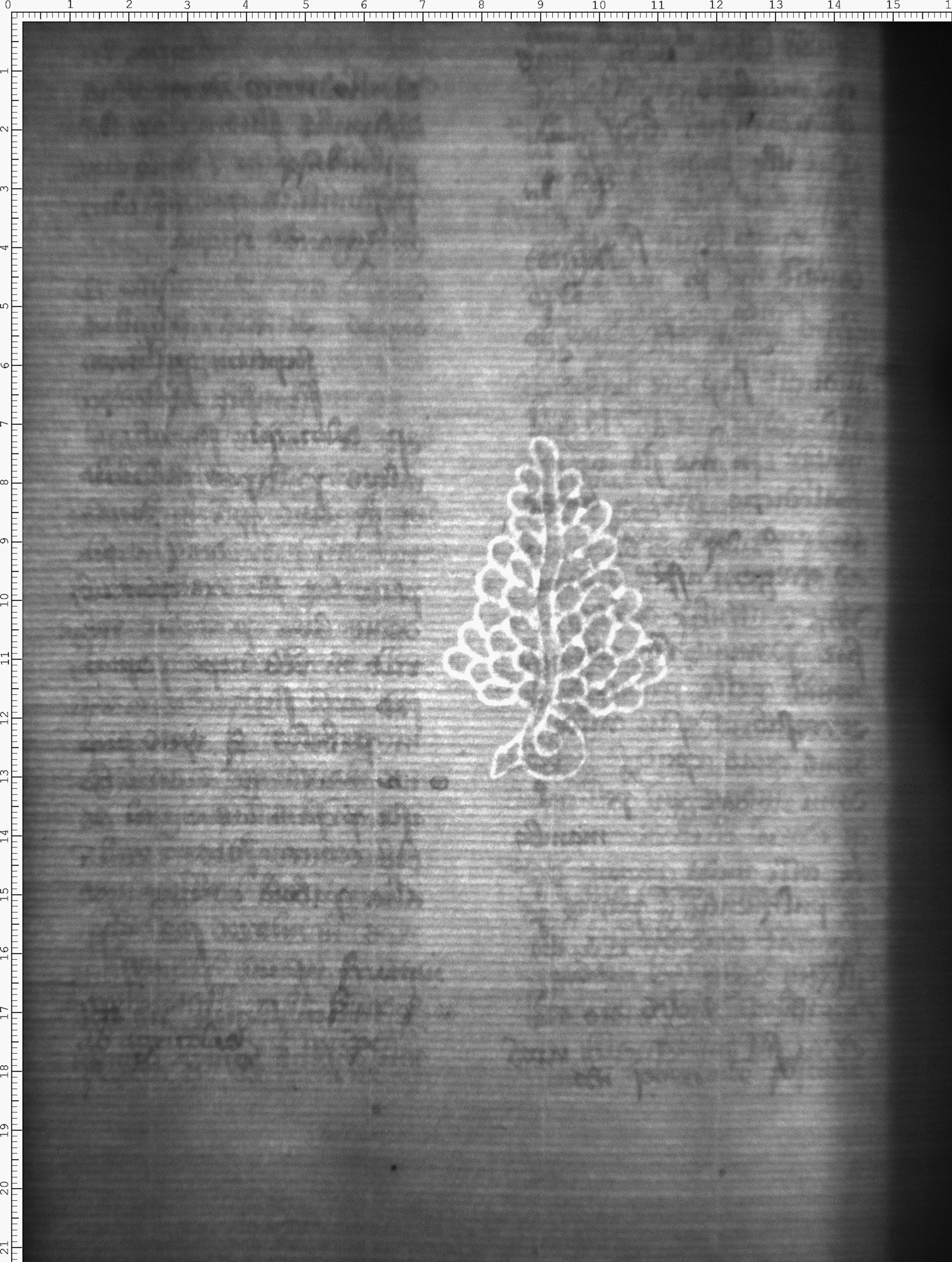 Watermark