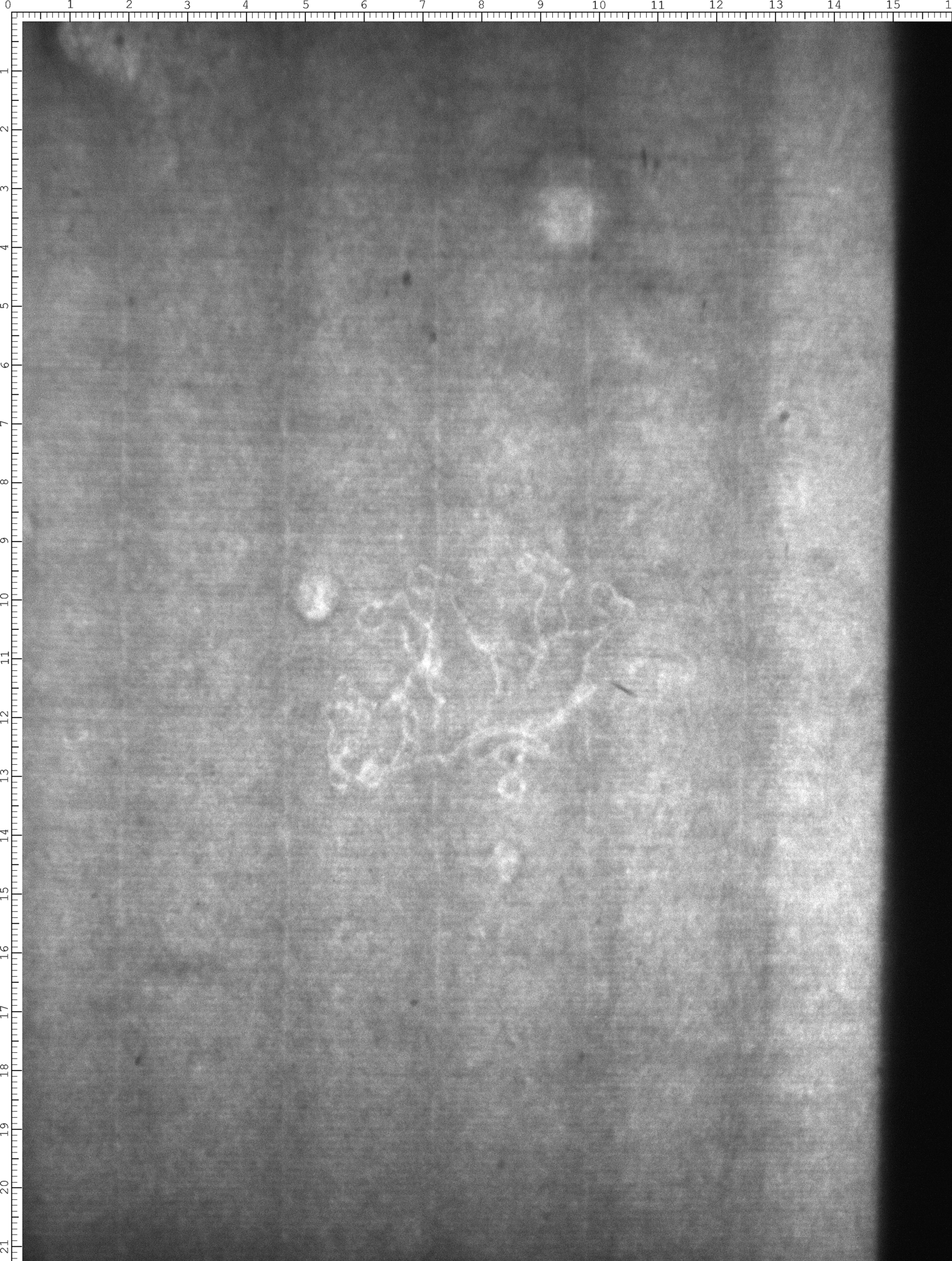 Watermark