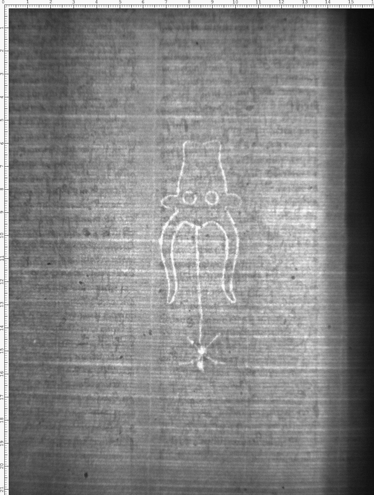 Watermark