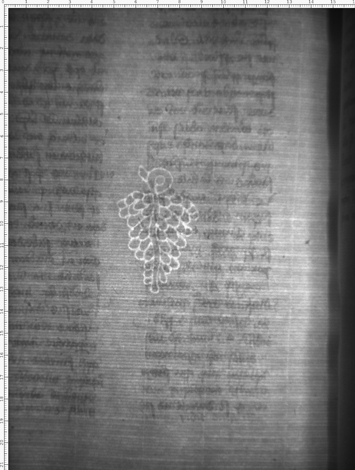 Watermark