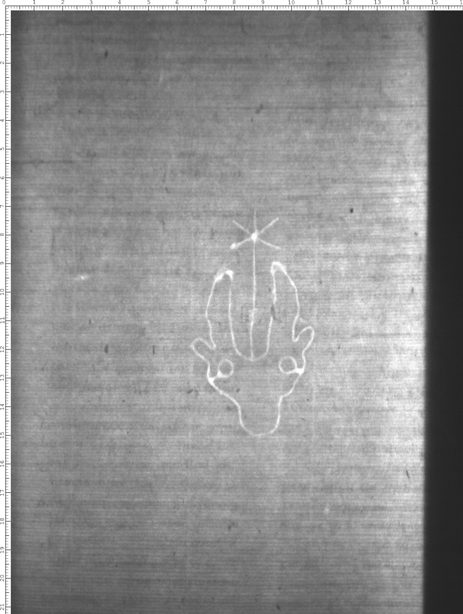 Watermark