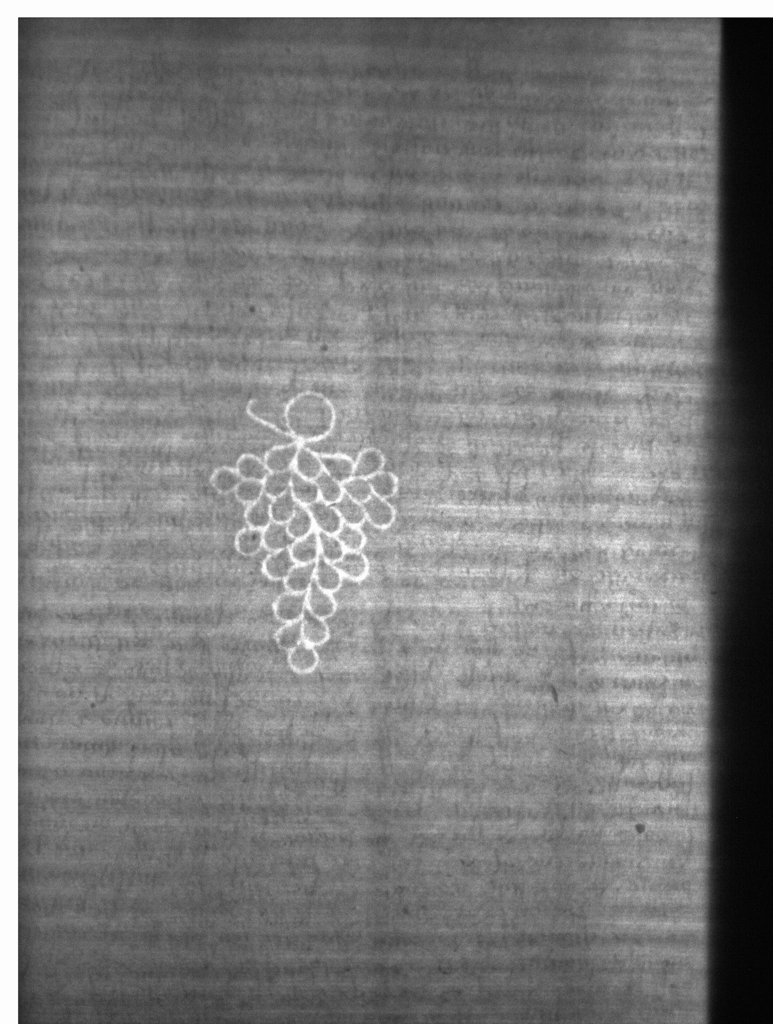 Watermark