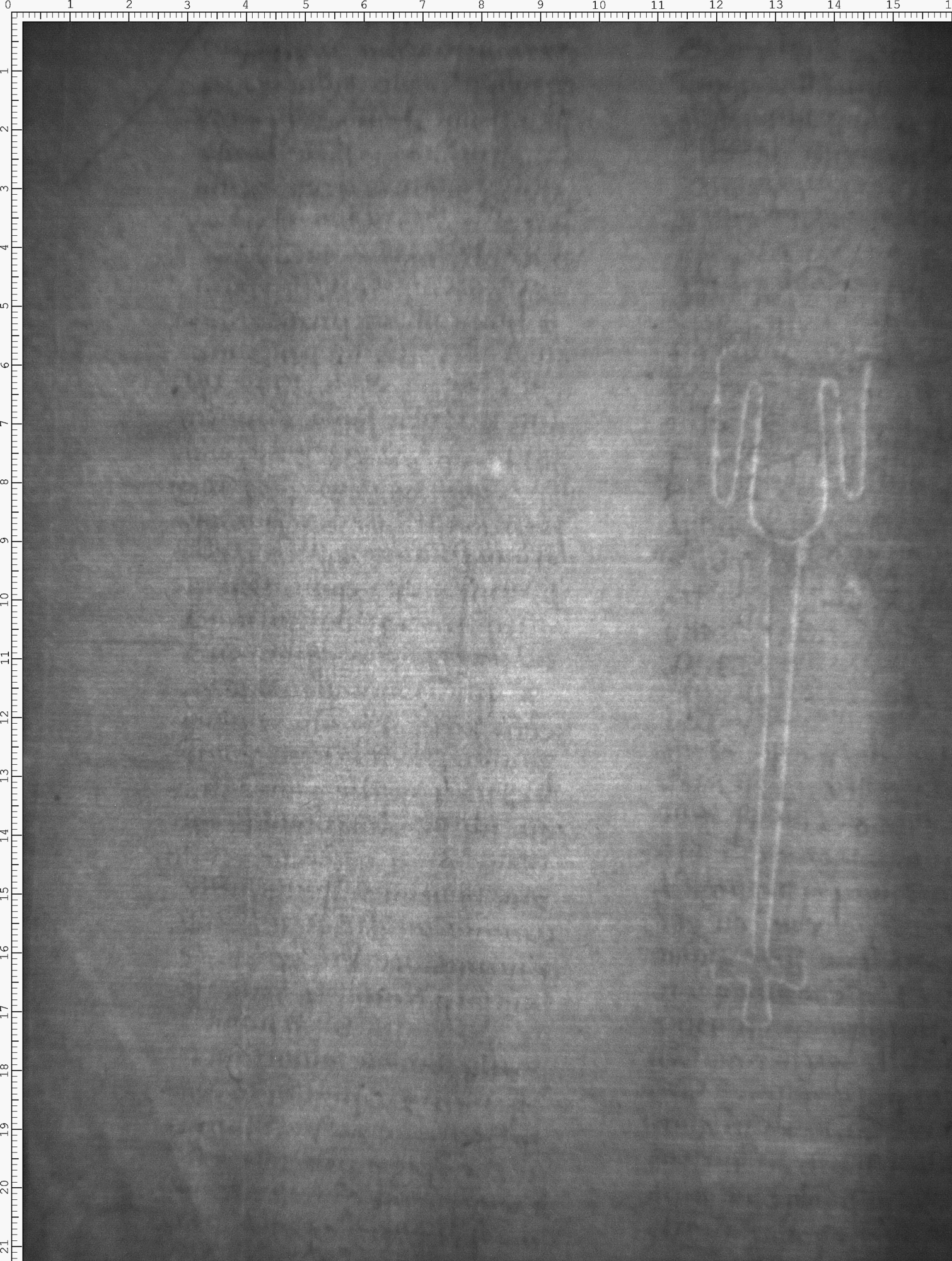 Watermark