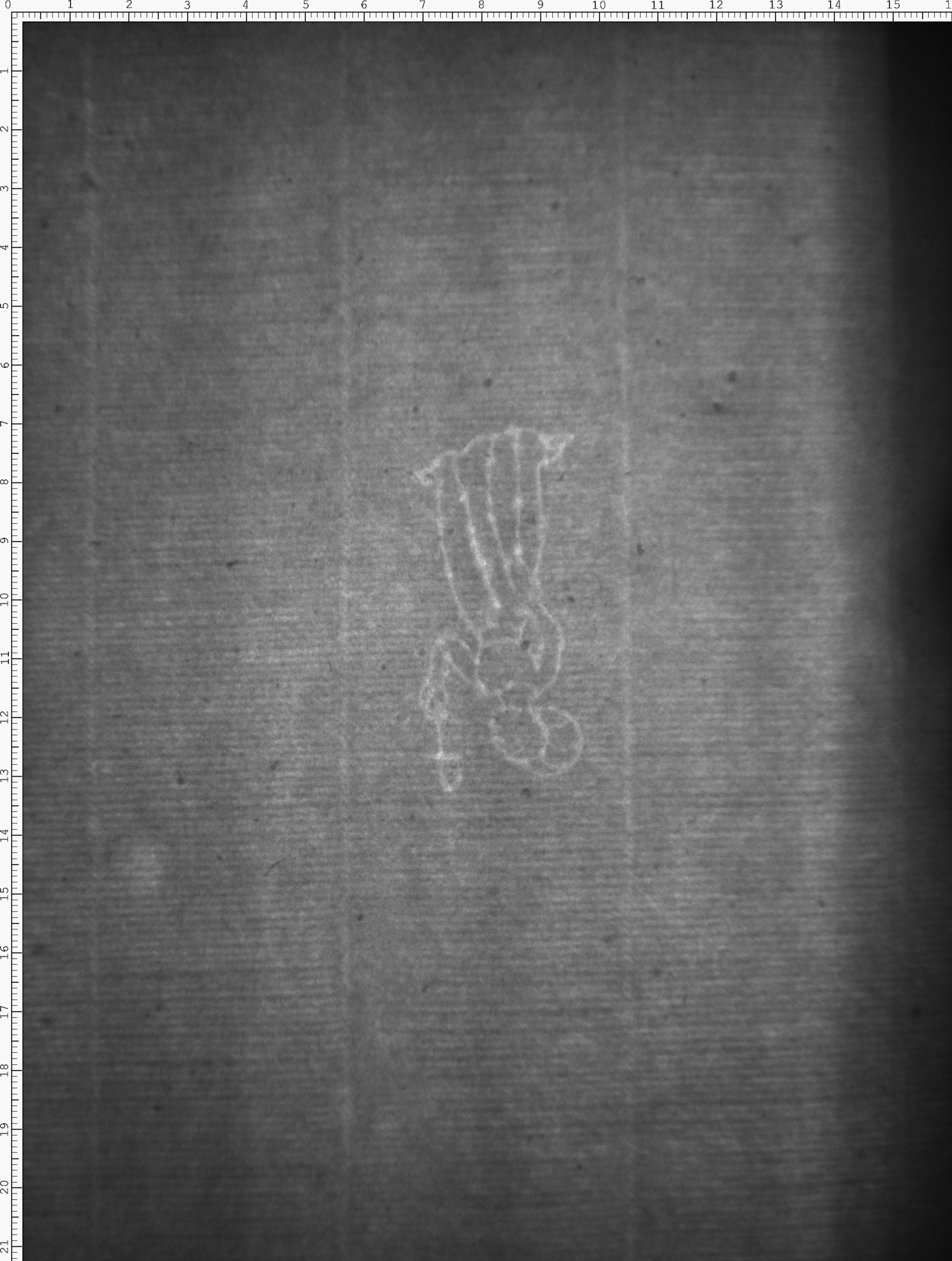 Watermark