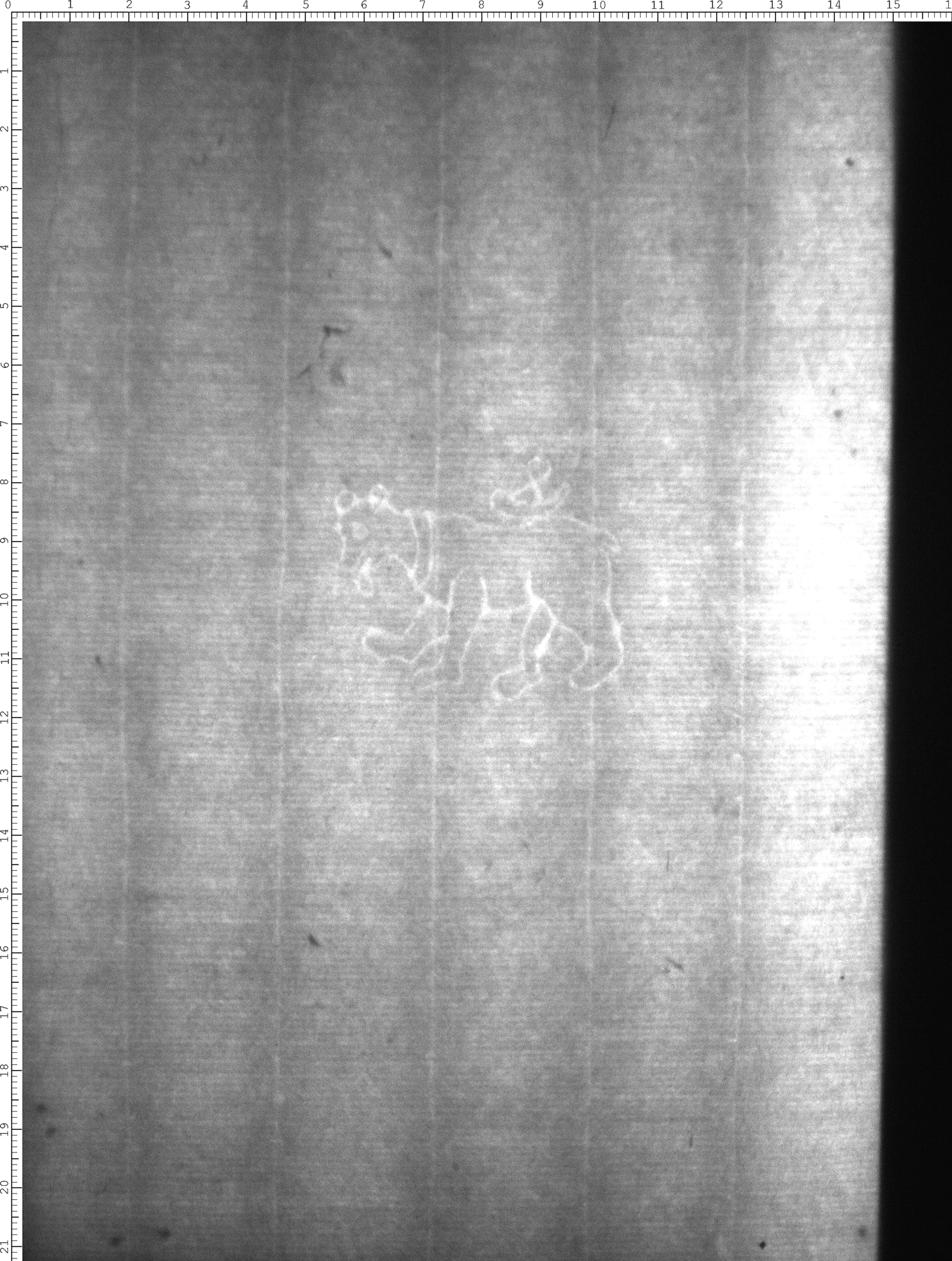 Watermark