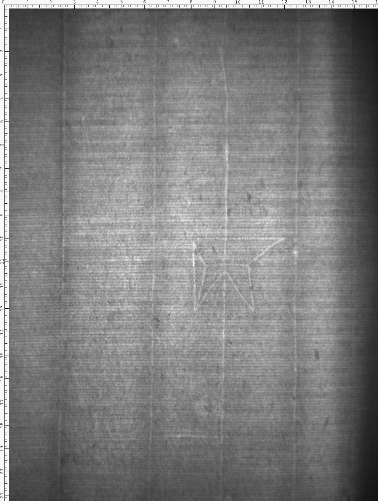 Watermark