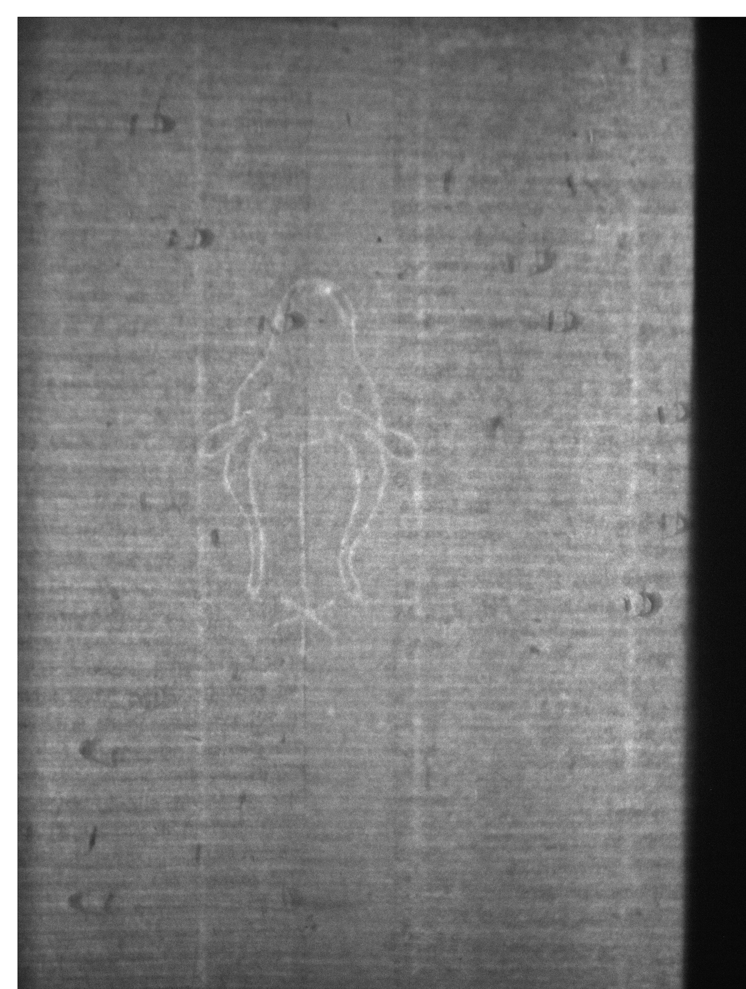 Watermark