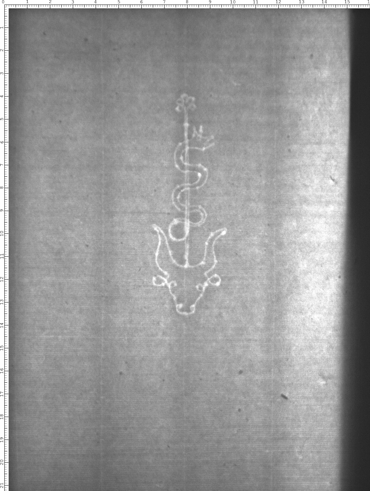 Watermark