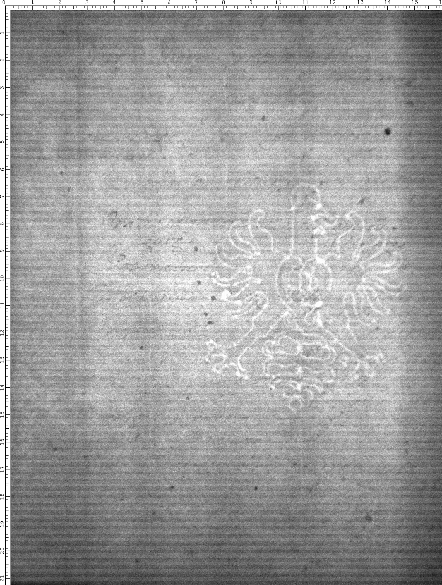 Watermark