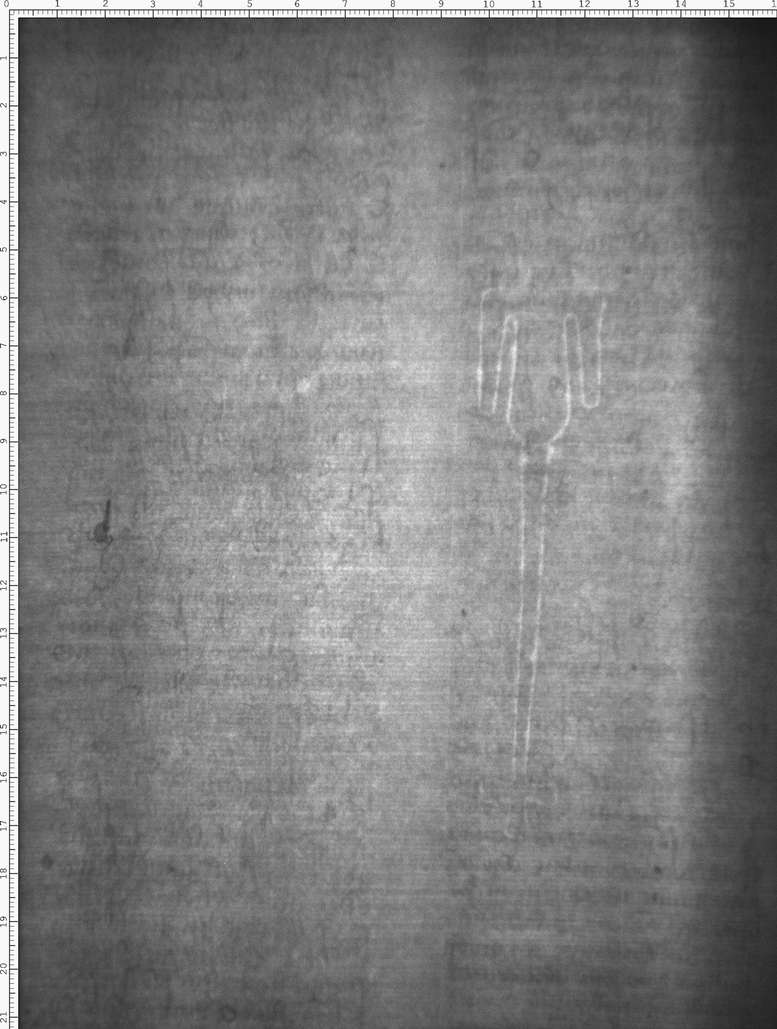Watermark