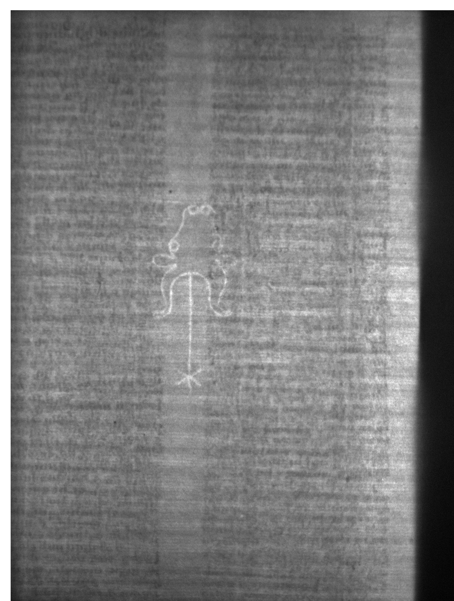 Watermark