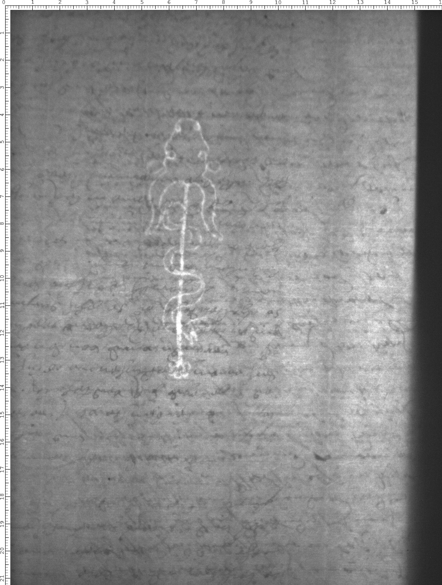 Watermark