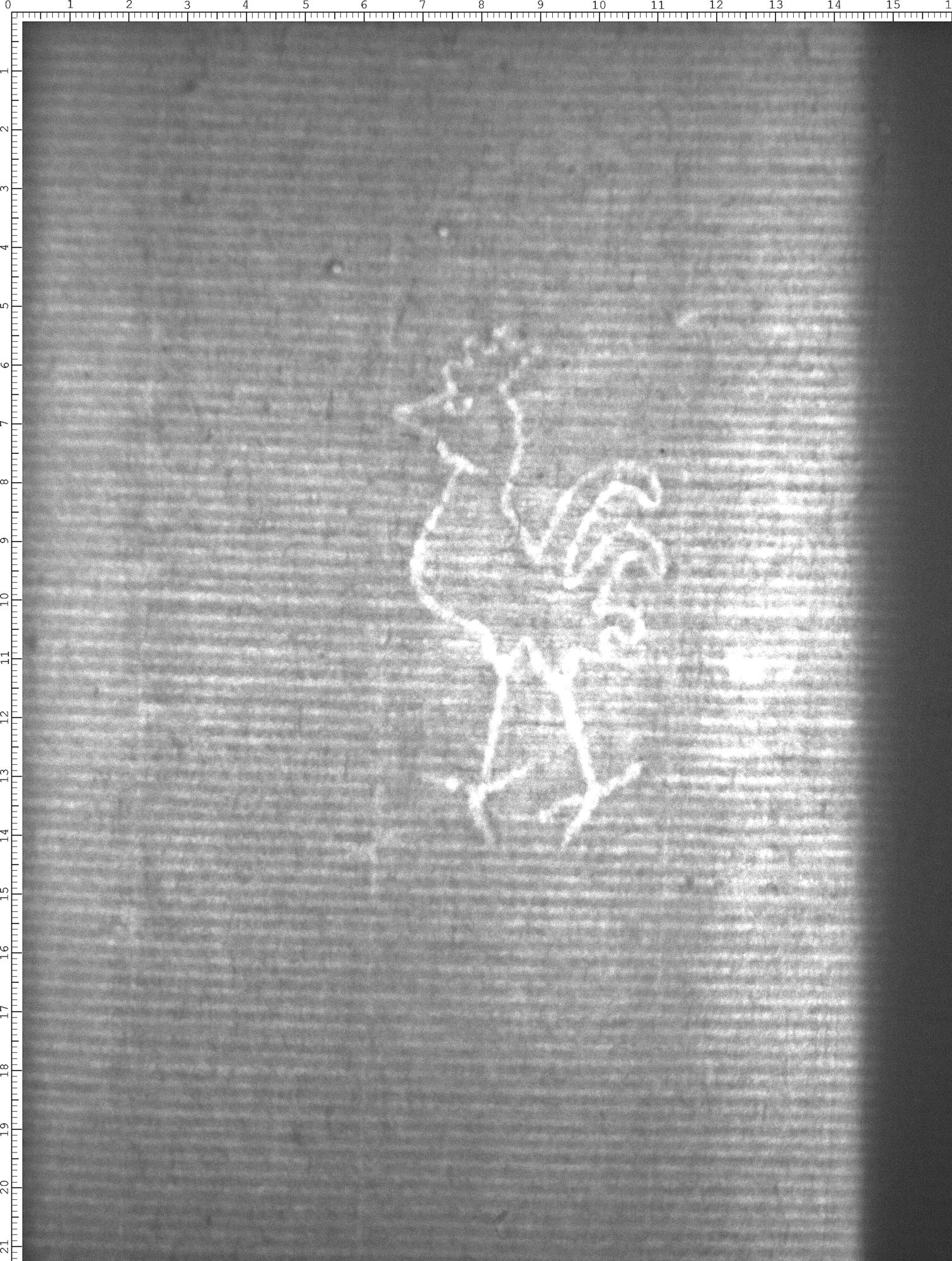 Watermark