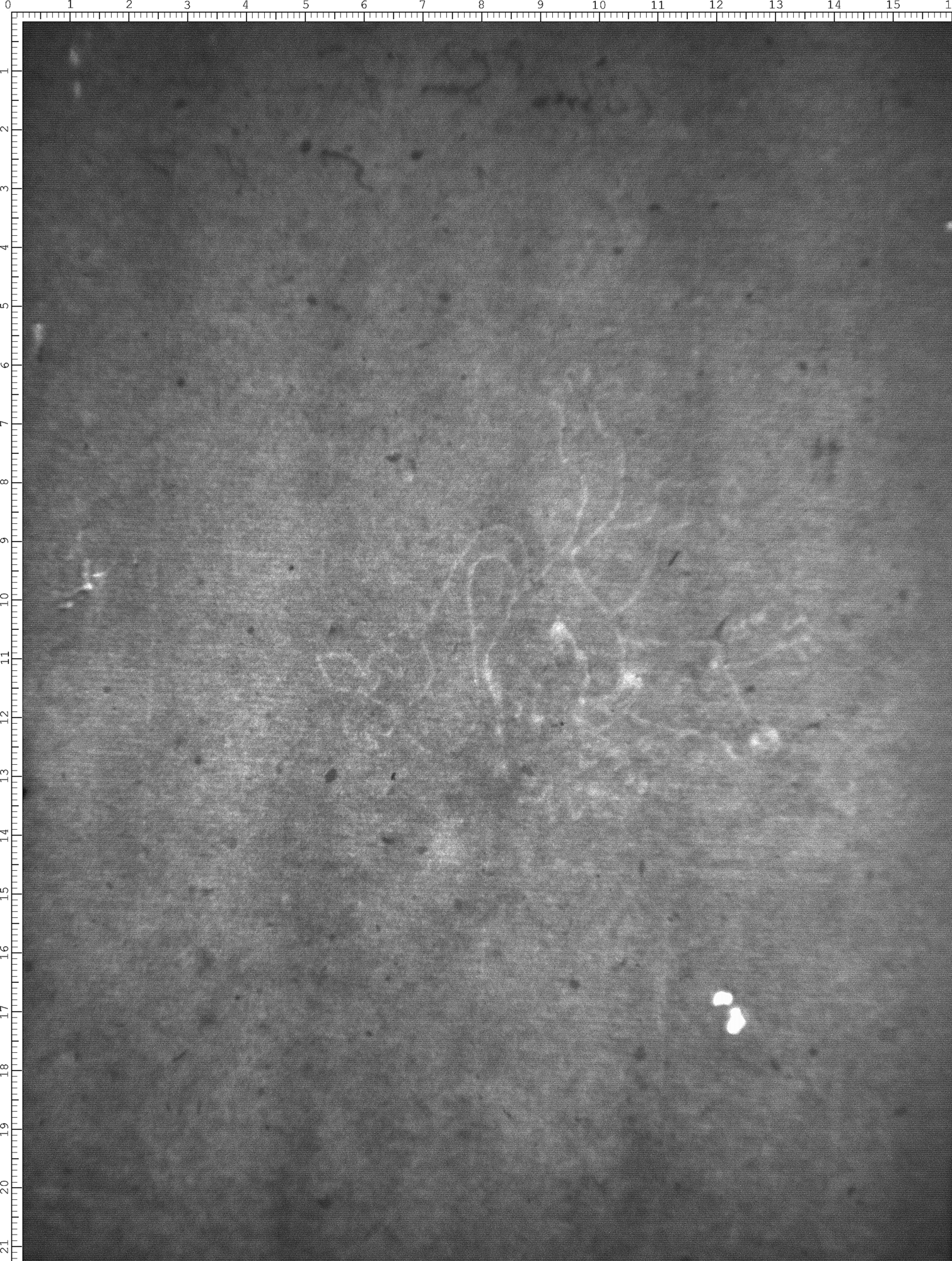 Watermark