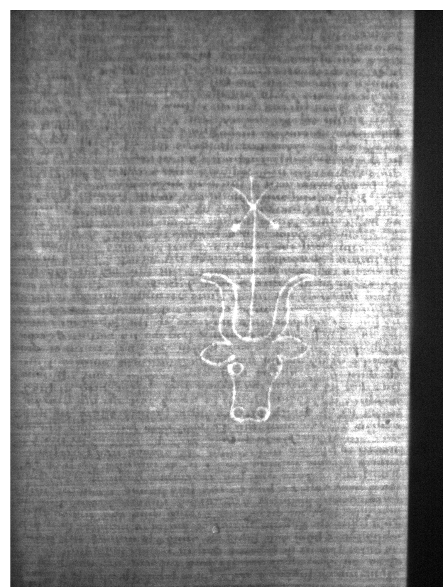 Watermark