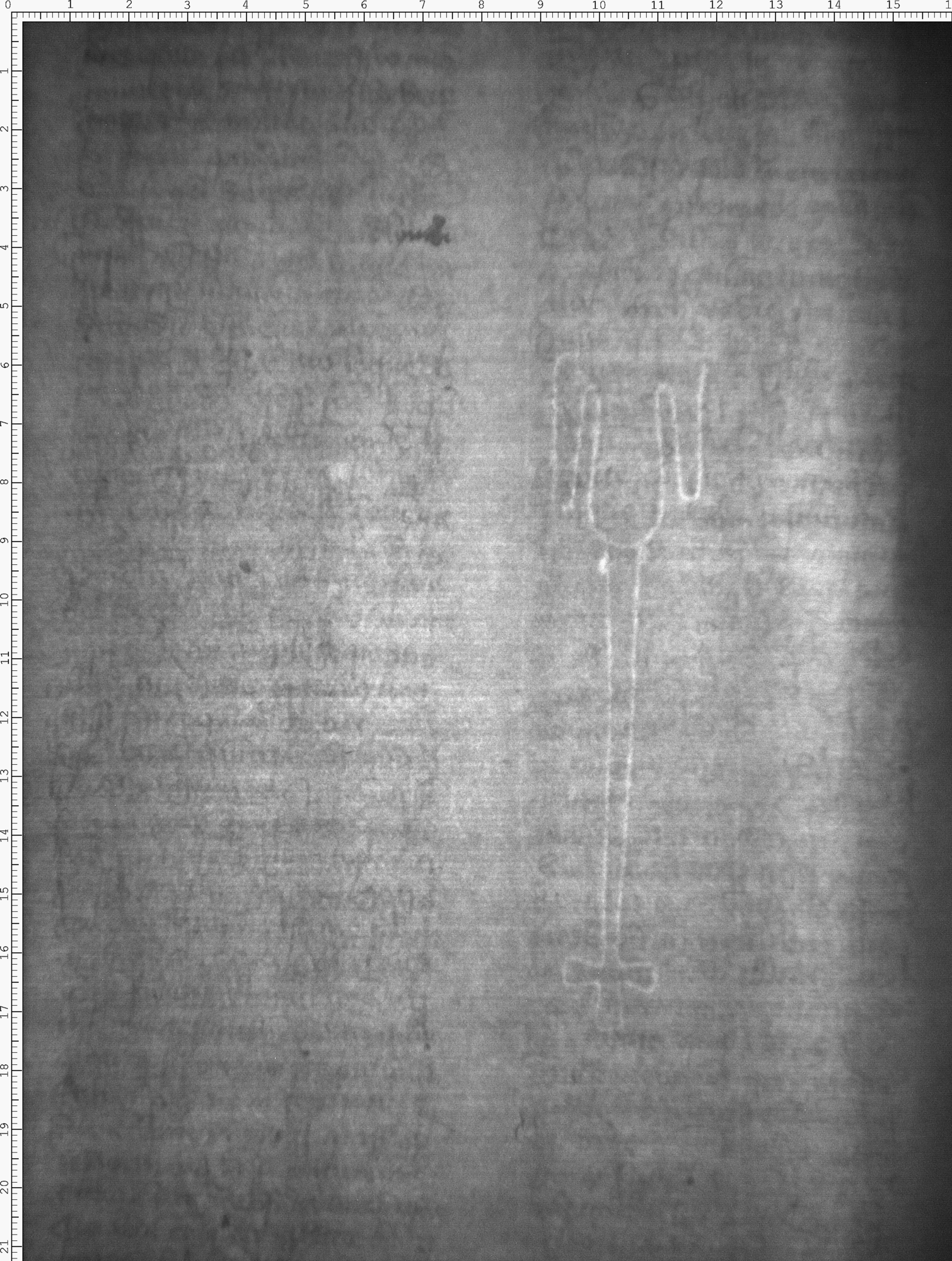 Watermark