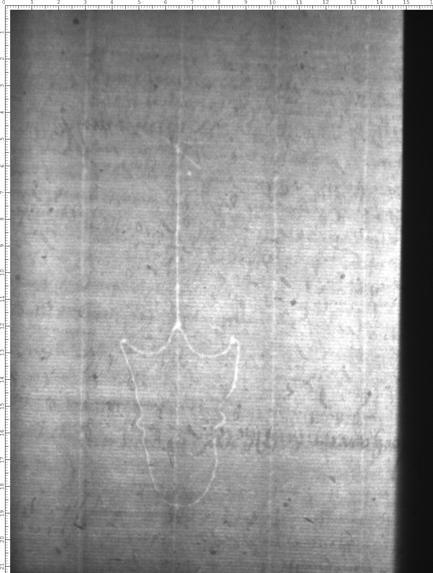 Watermark