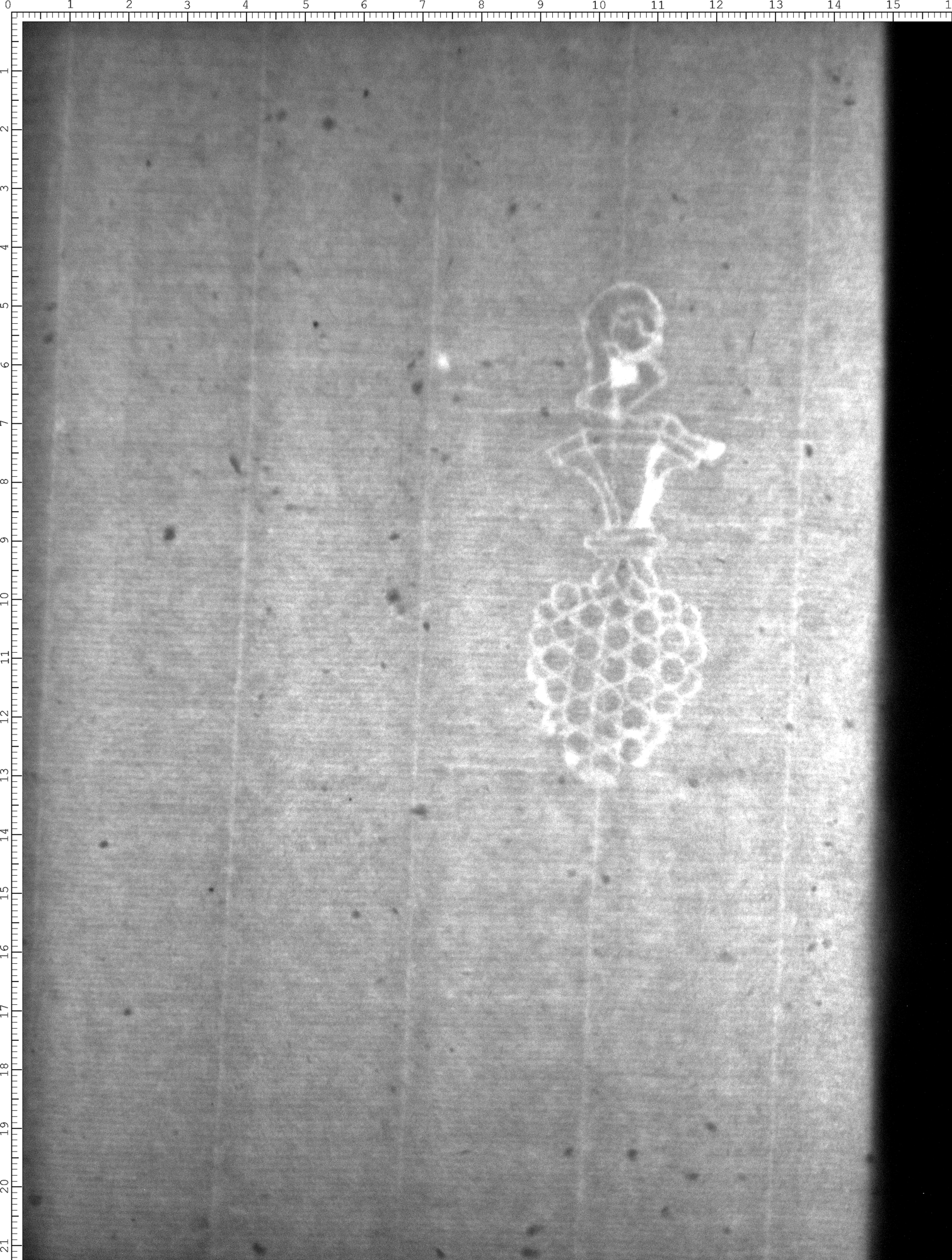 Watermark