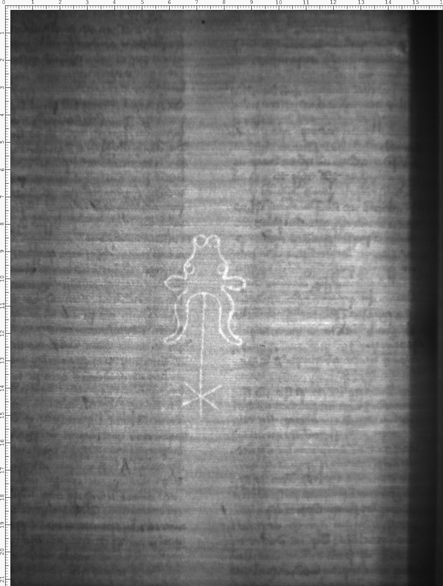 Watermark
