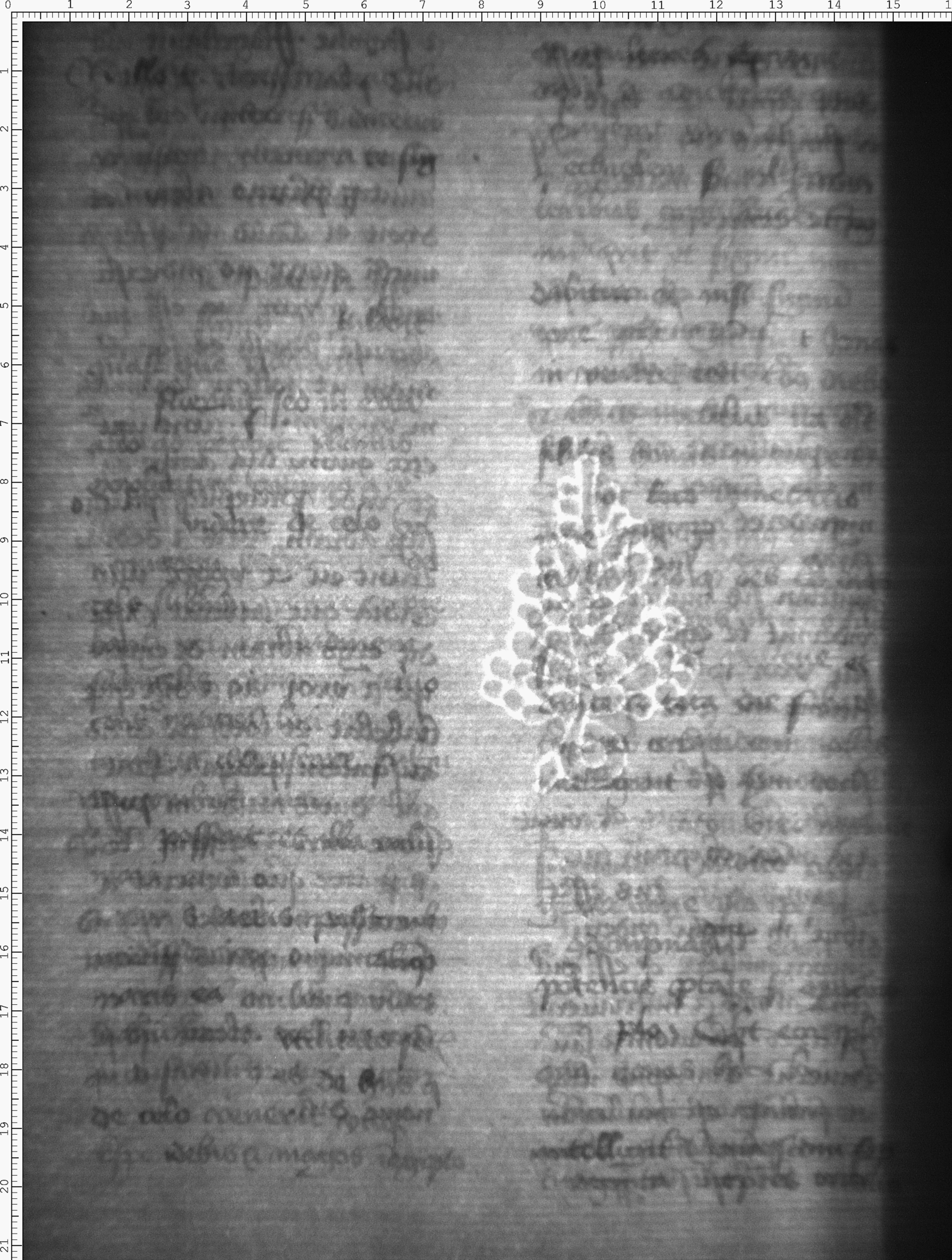 Watermark