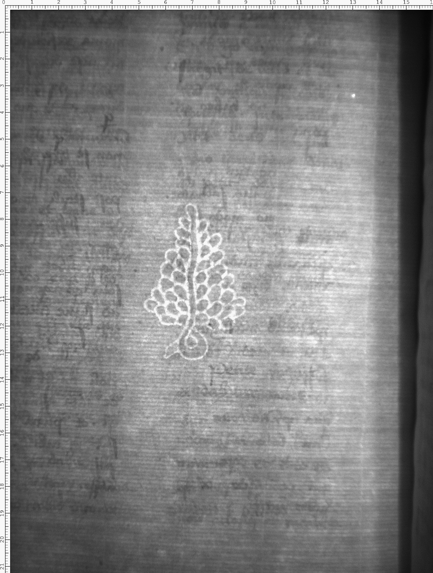Watermark