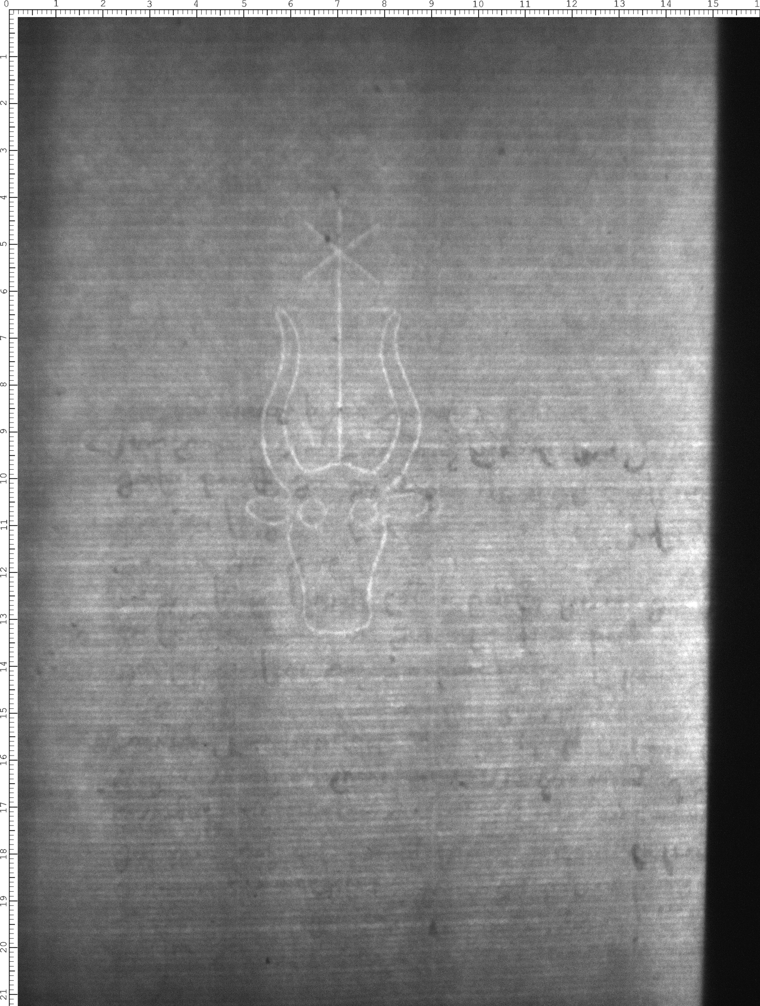 Watermark