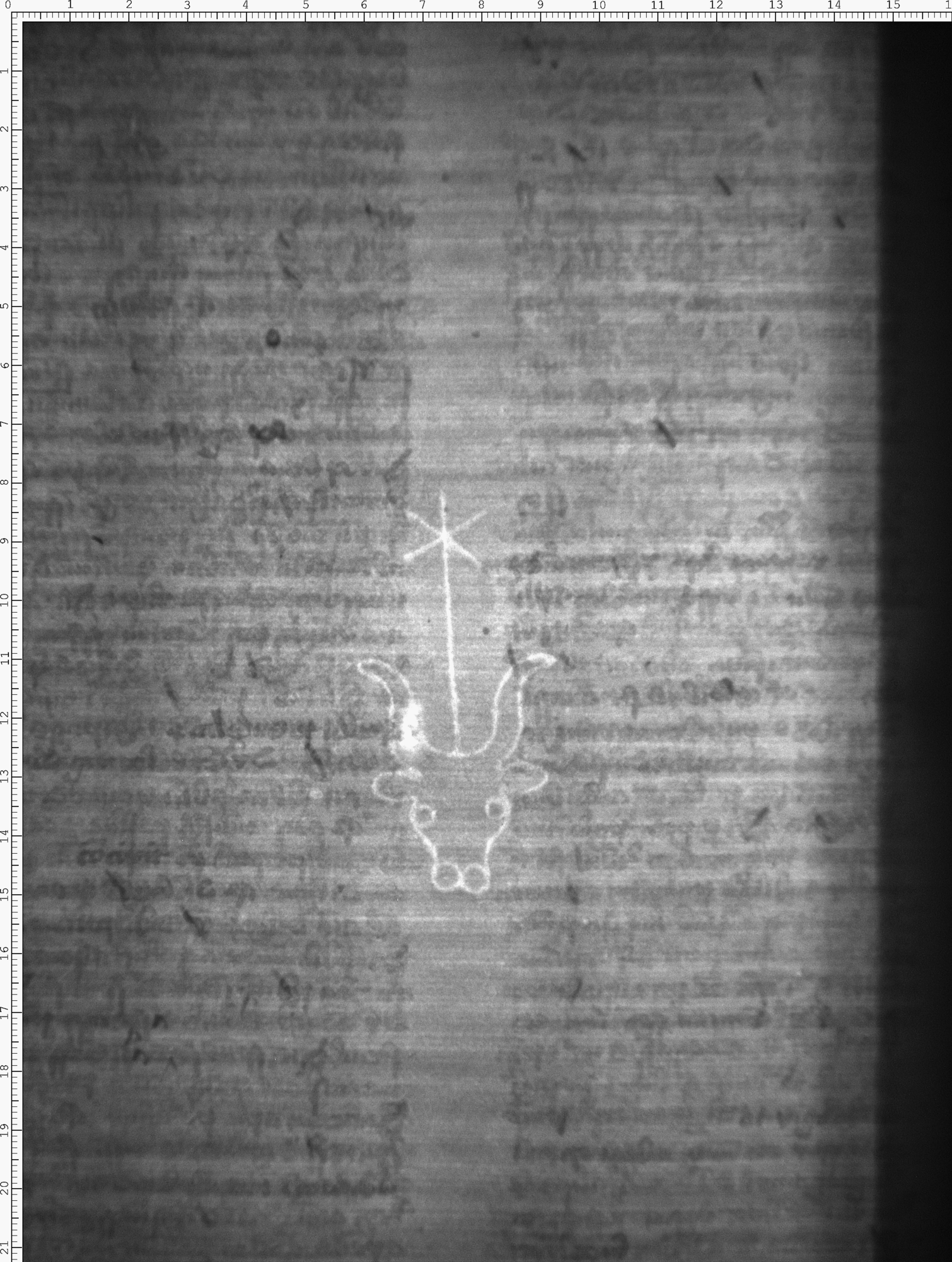 Watermark